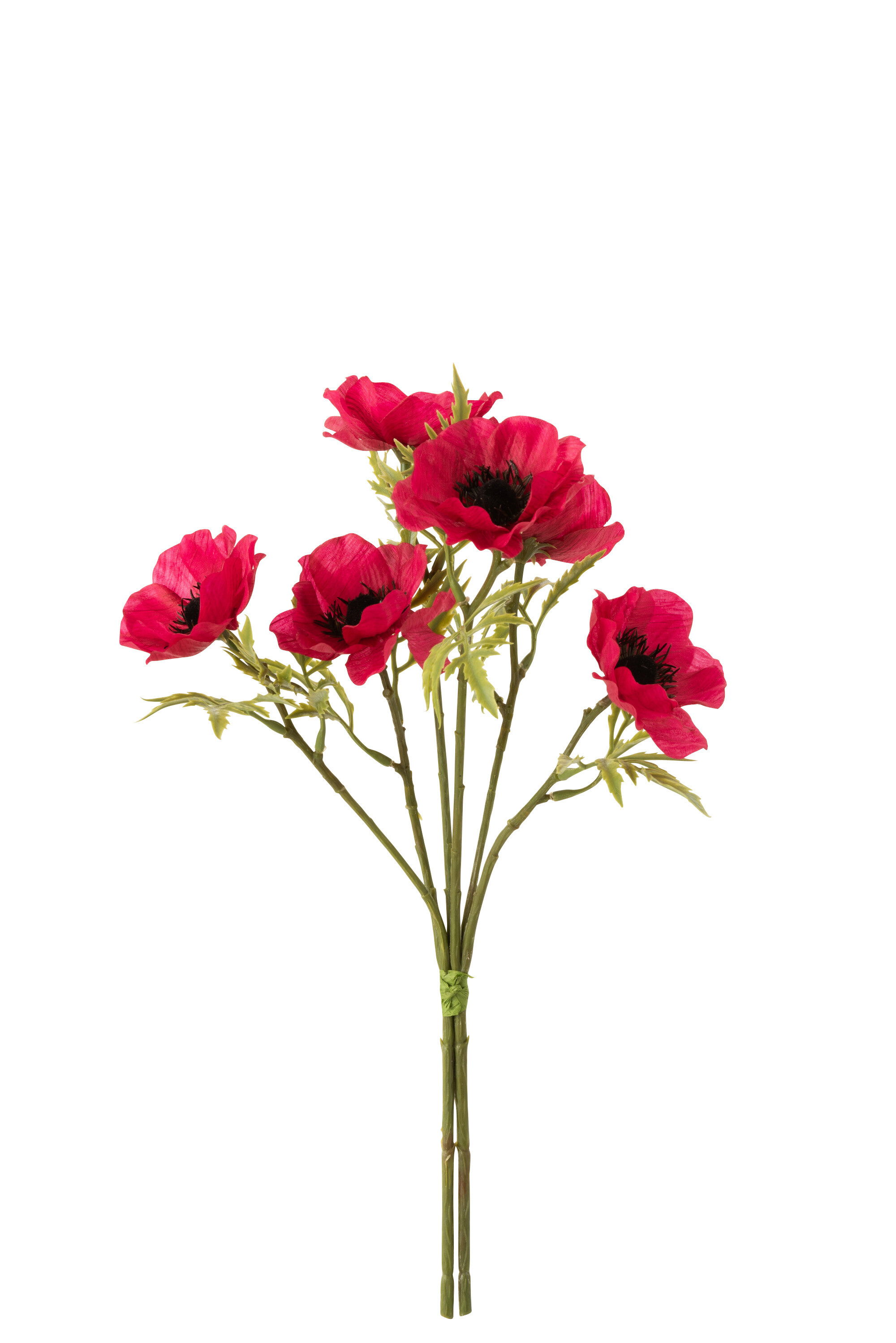 BOUQUET COQUELICOT PLA ROU