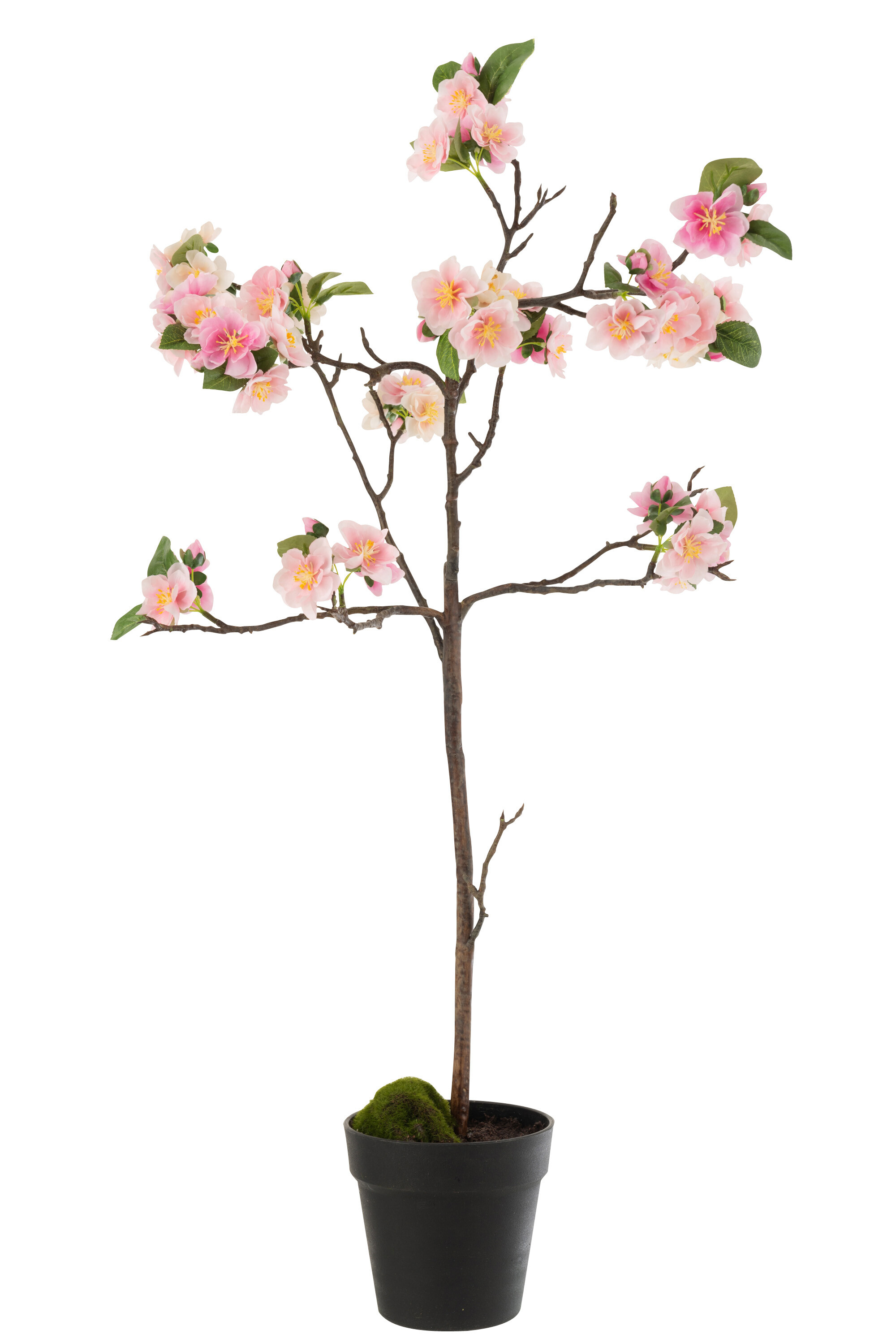 ARBRE EN FLEUR PLA ROS/MARR M