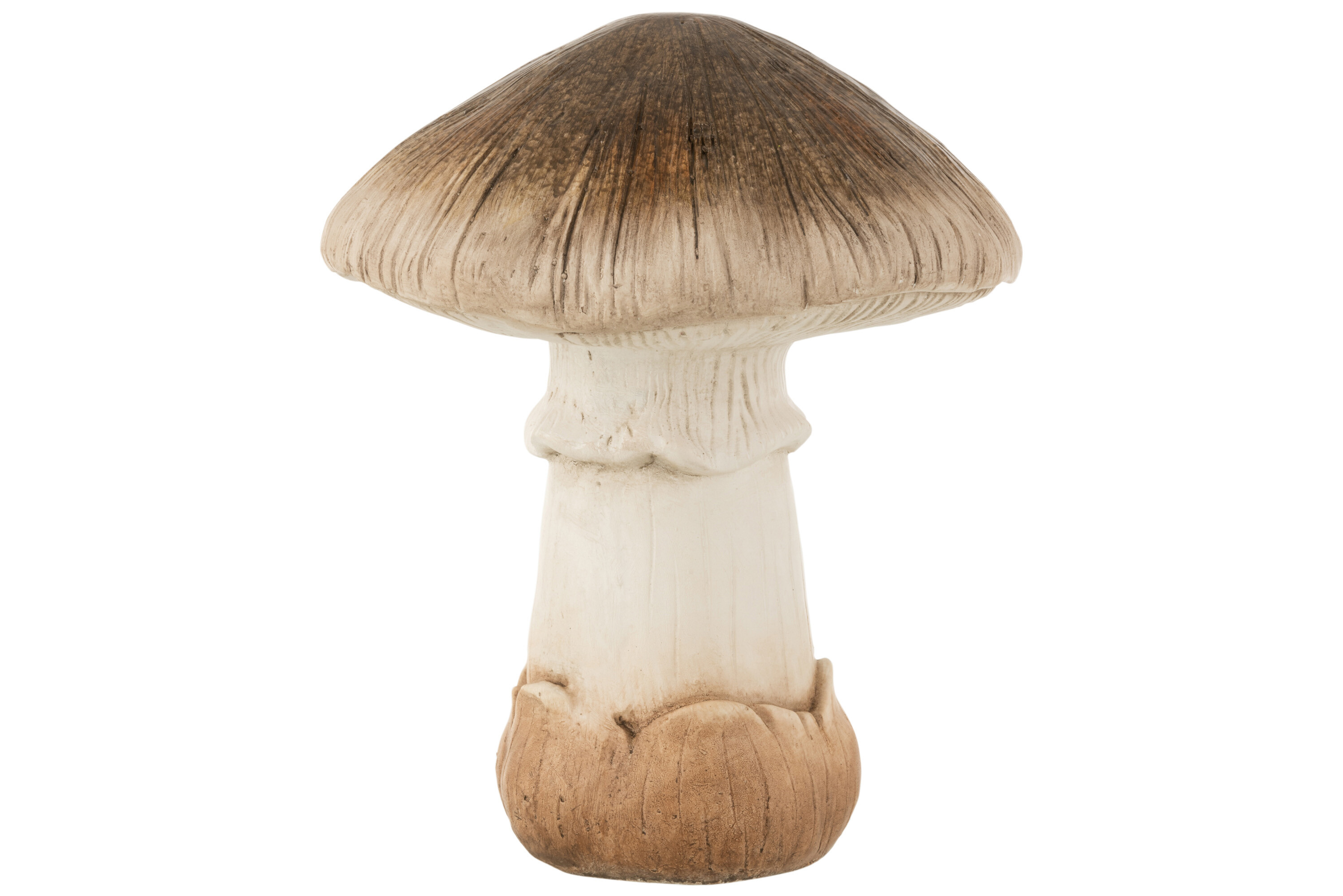 CHAMPIGNON CER MARRON L