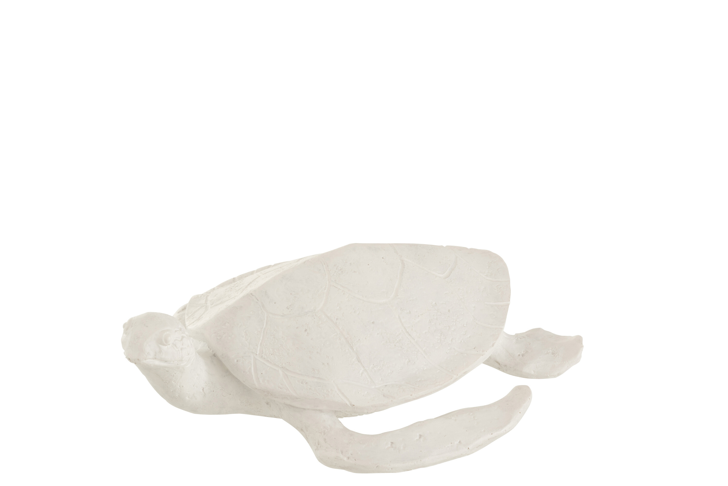 TORTUE RESINE BLANC S