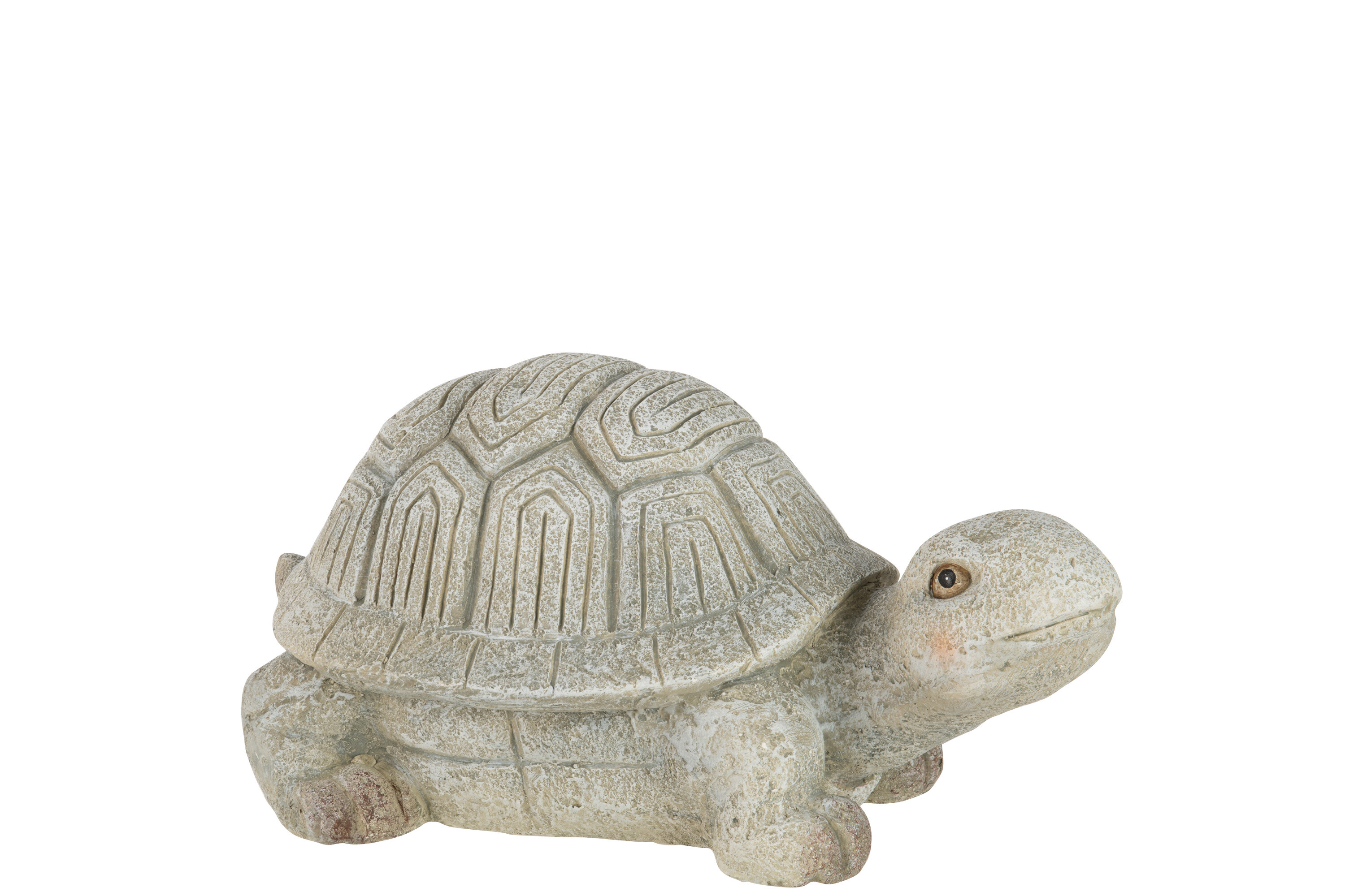 TORTUE MAGN RES GRIS L