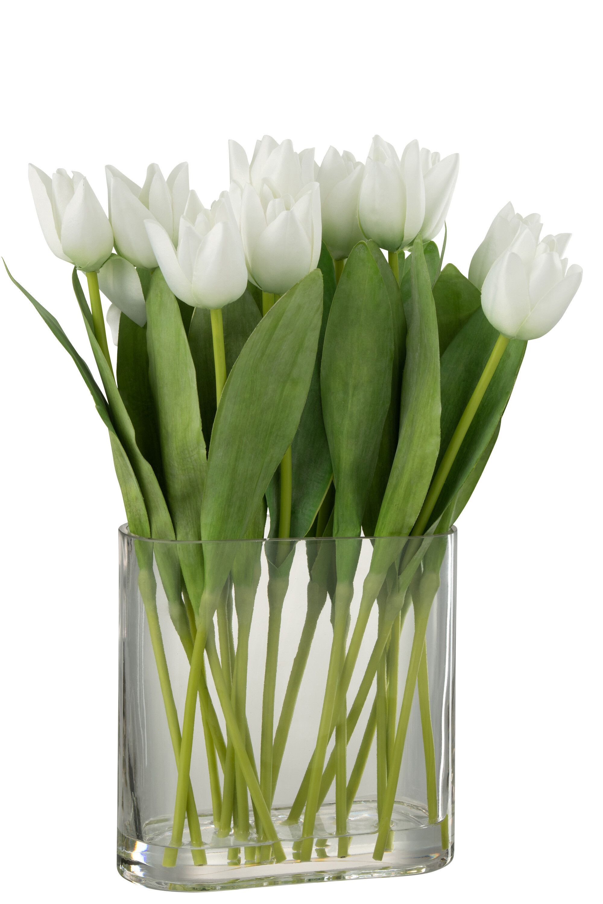 TULIPES EN VASE OVALE PL VERRE BL