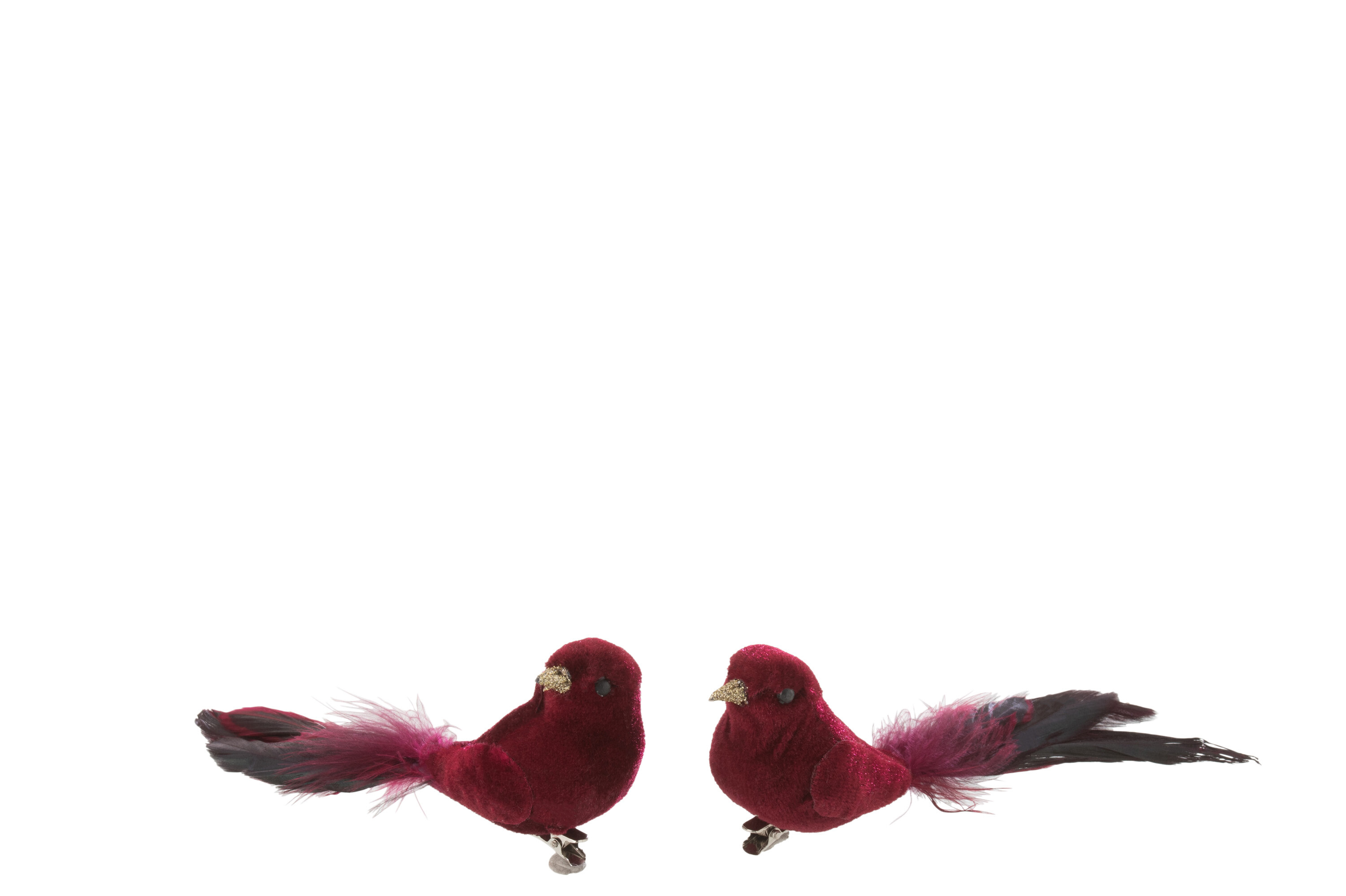 OISEAU+CLIP VELOURS BORD ASS2