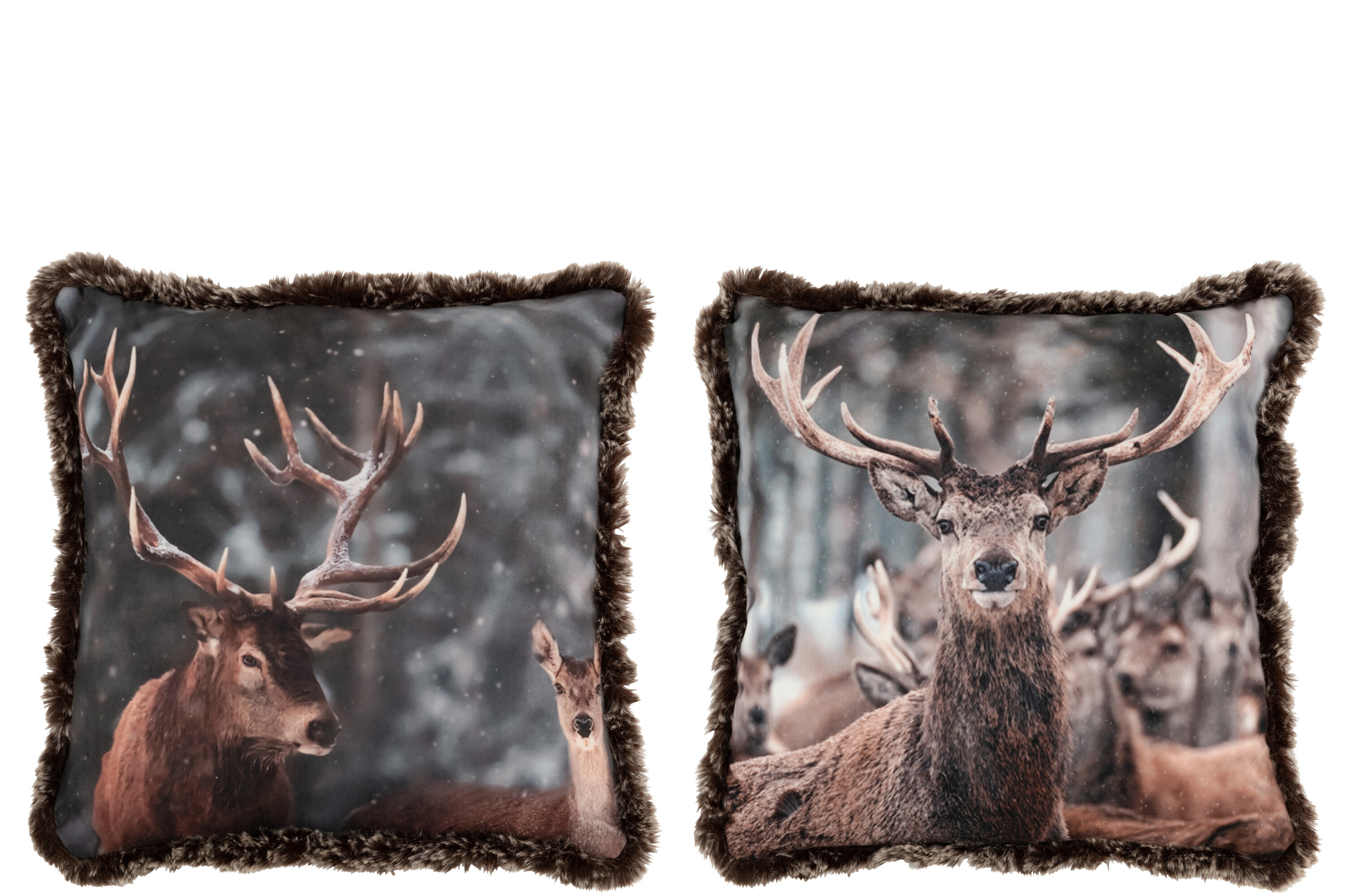 COUSSIN CERF POLY MARRON ASS2