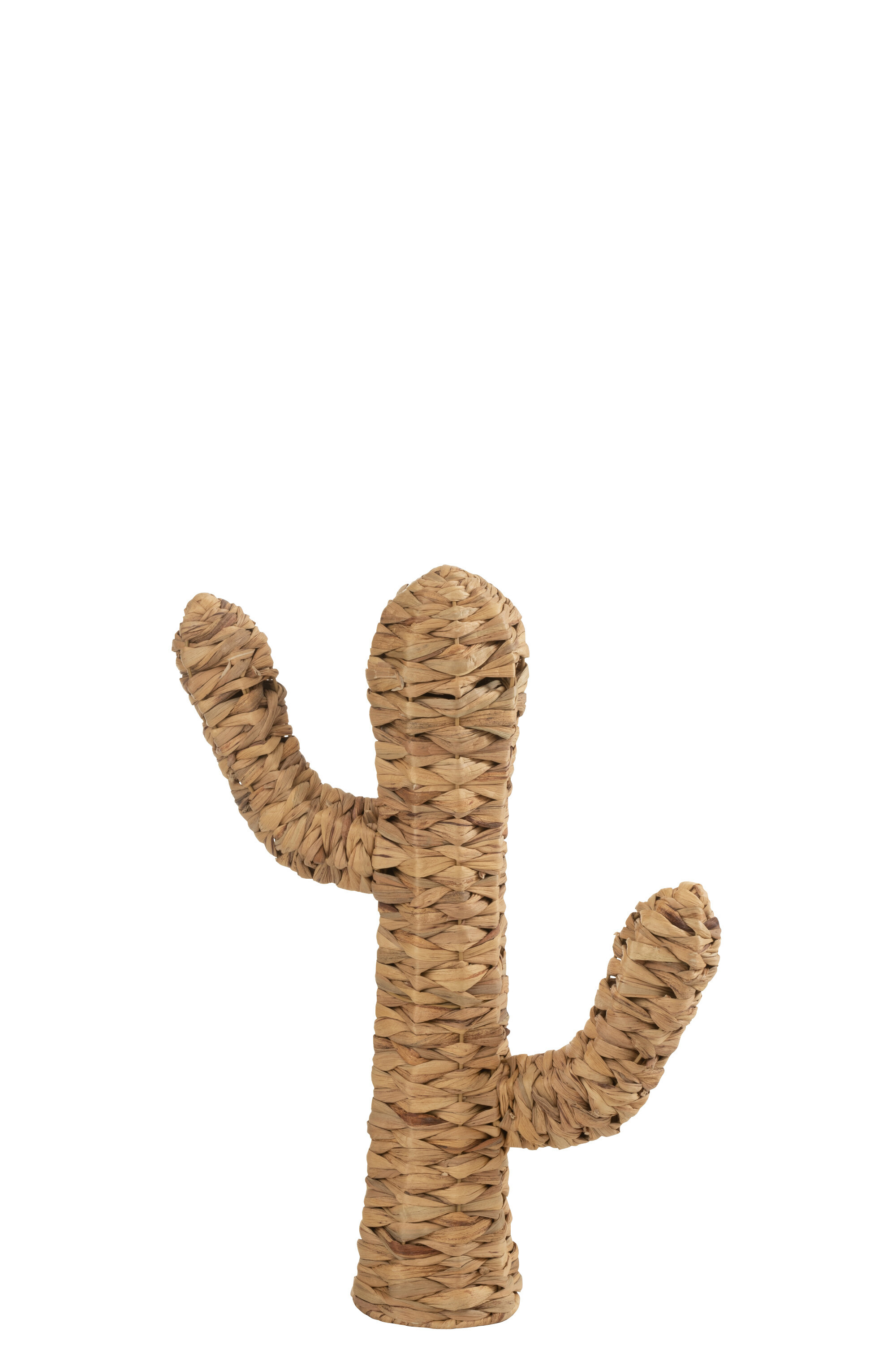 DECO CACTUS JACY/FER NATUREL S