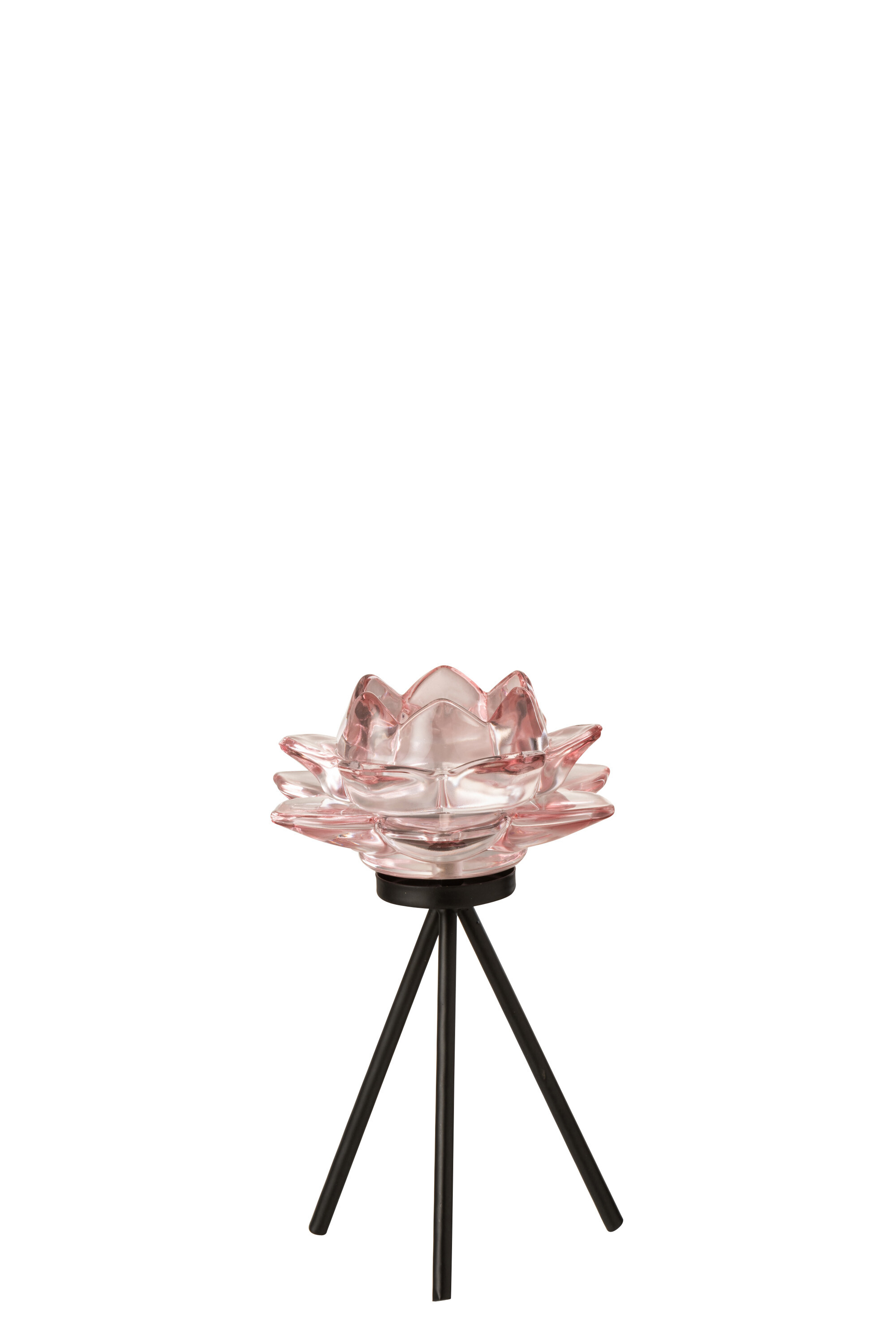 PHPH S/ PIED FLEUR VER ROSE S