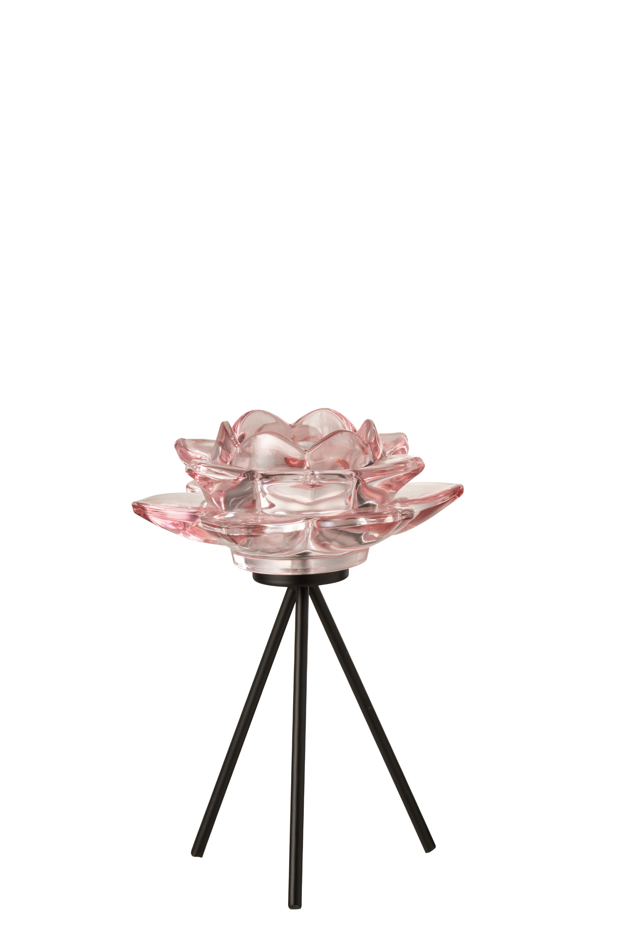 PHPH S/ PIED FLEUR VER ROSE L