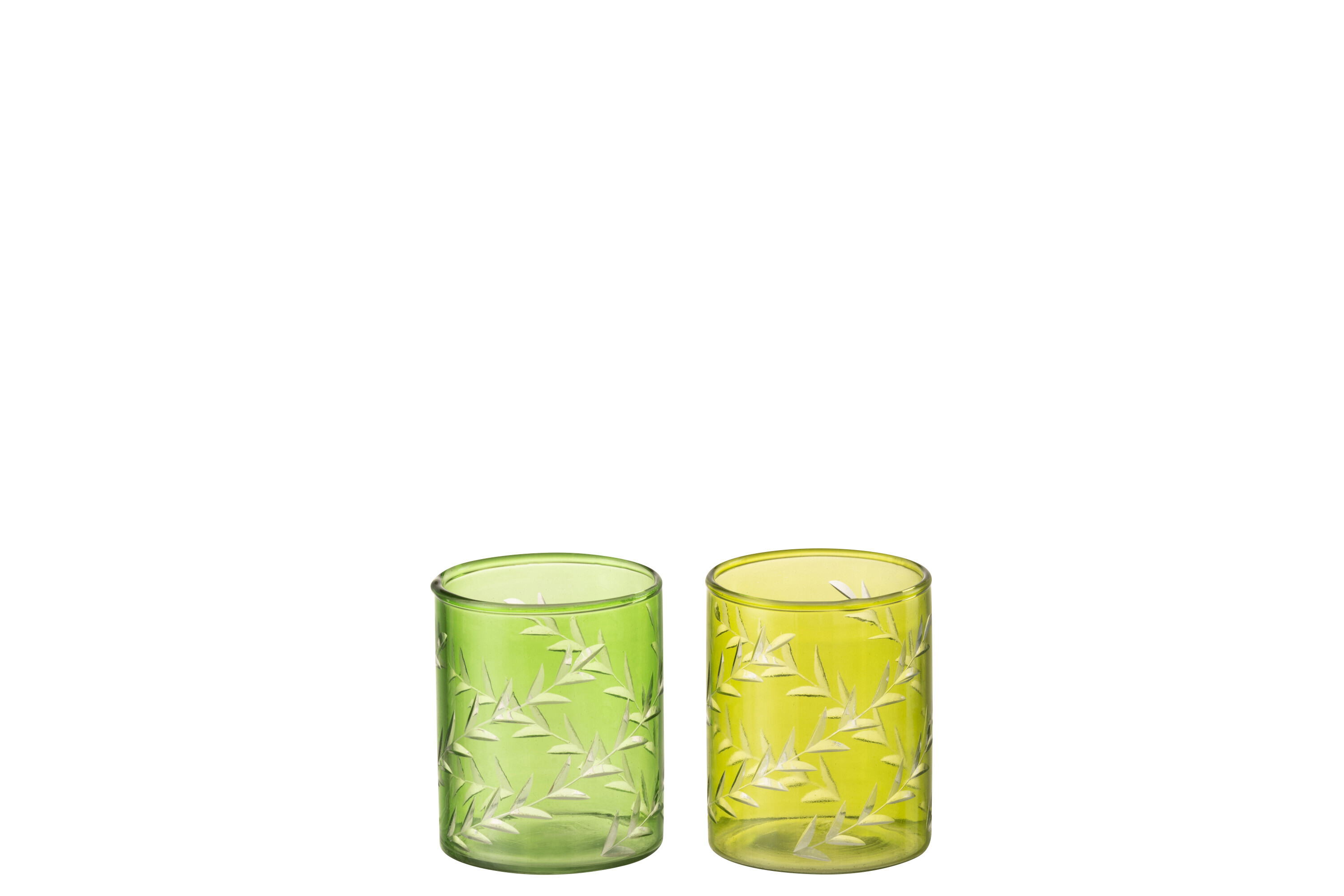 PHPH FEUIL VERRE VERT S ASS2