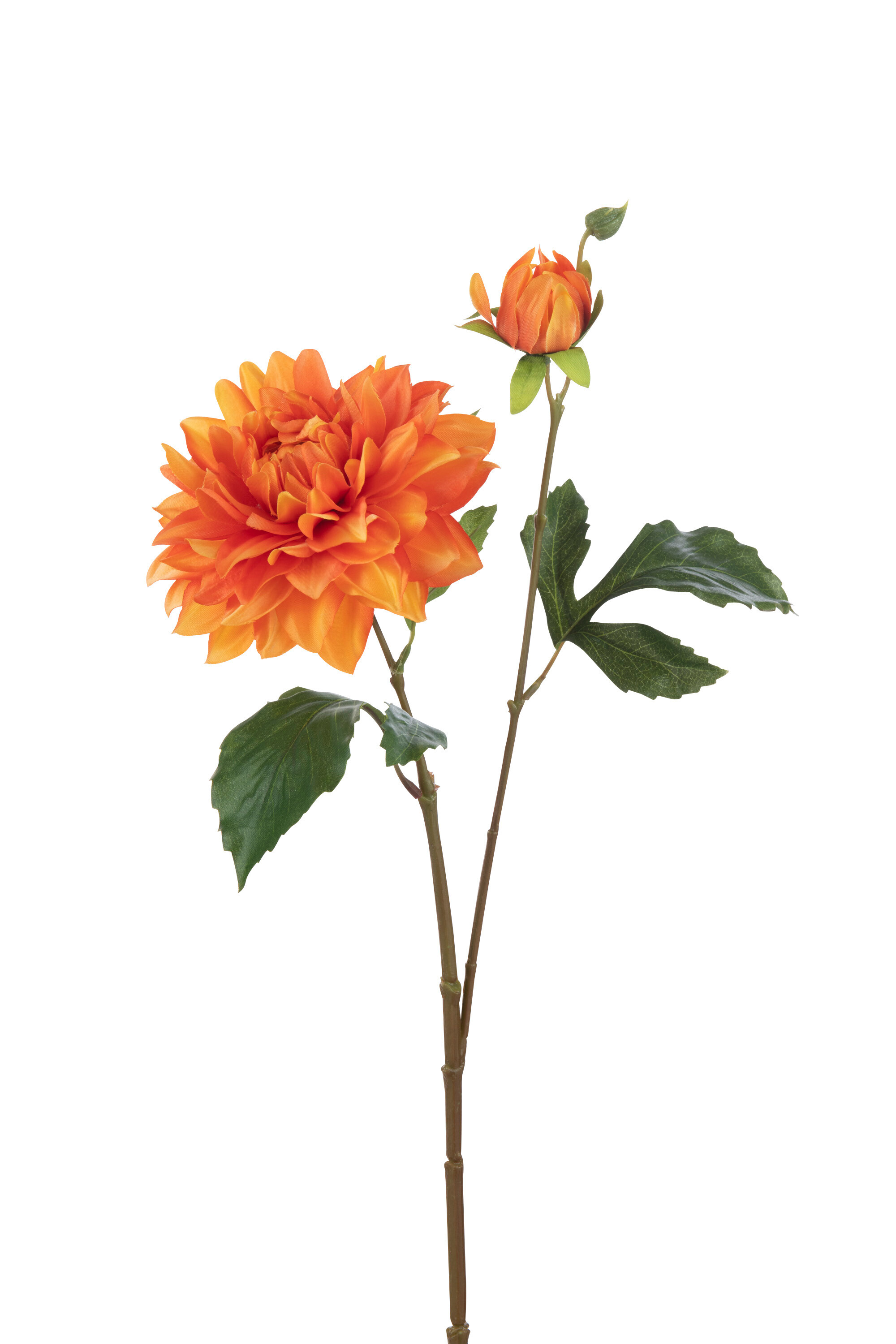 DAHLIA ELISE ARTI ORANGE