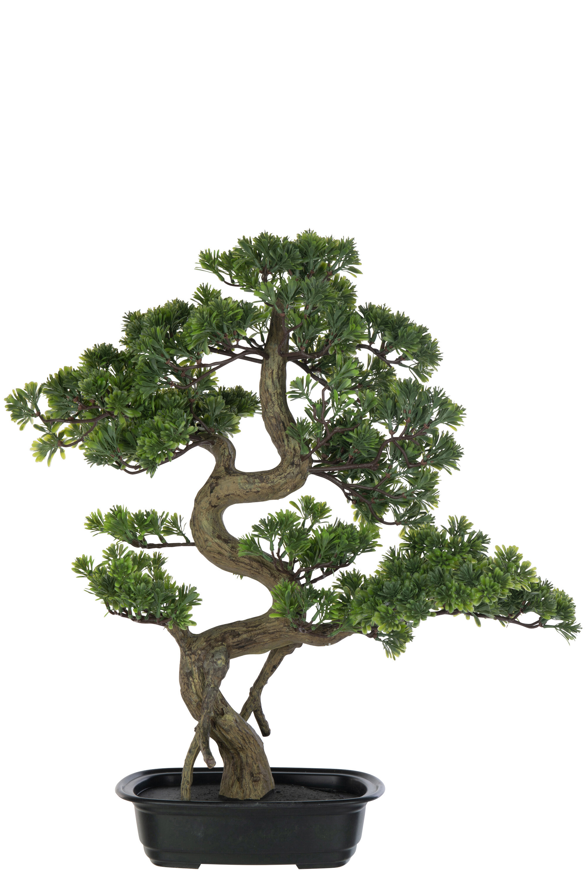 BONSAI PODOCARPUS ARTIF VERT L