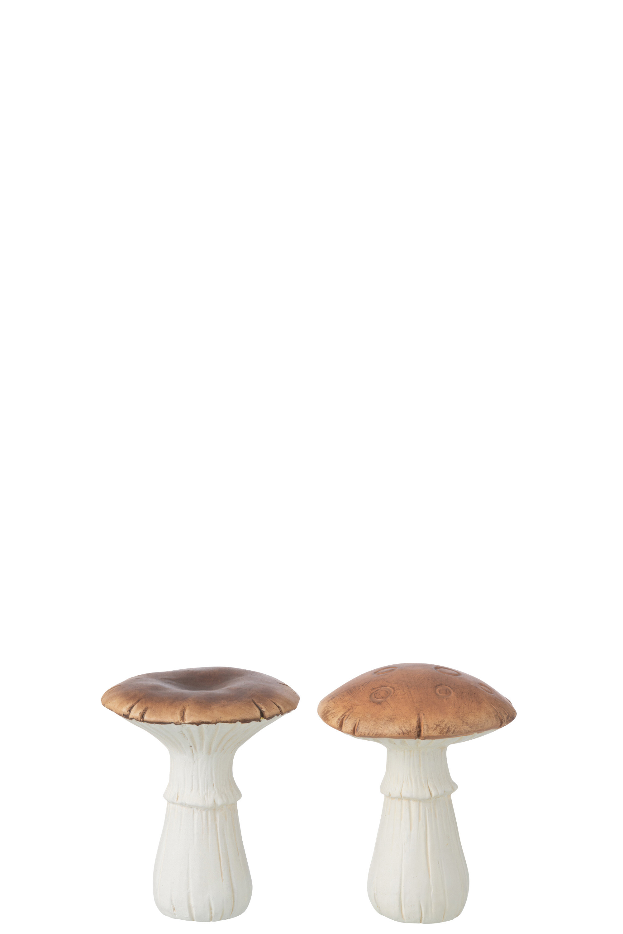 CHAMPIGNON BLANC/MARR M ASS2