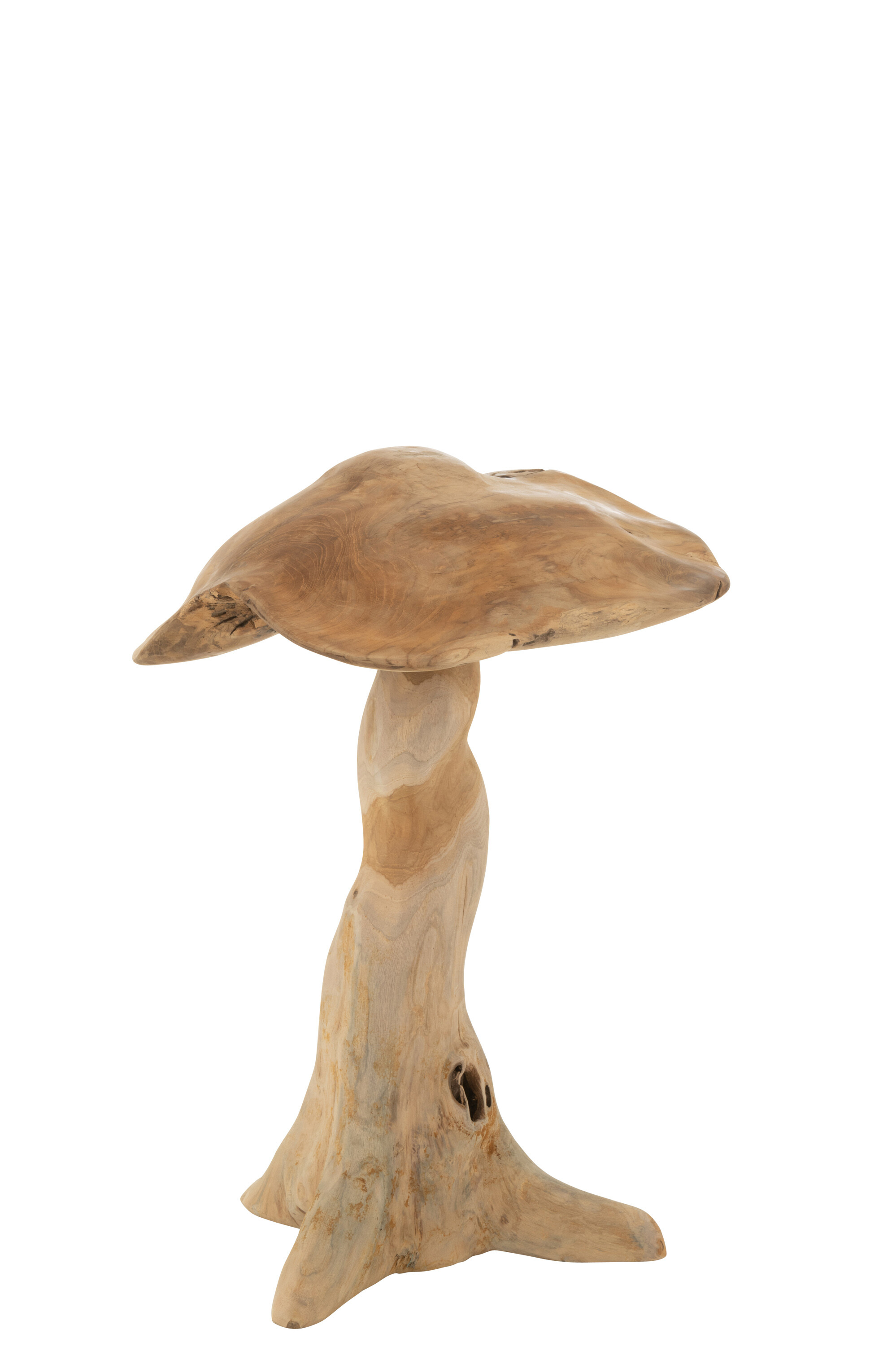 CHAMPIGNON DECOTECK NATUREL S