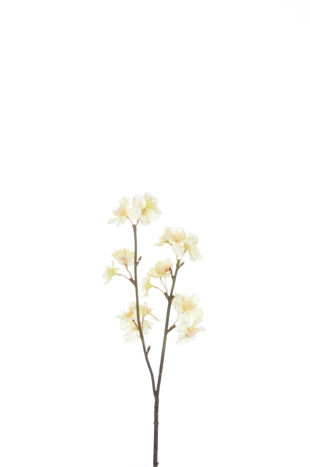 BRANCHE FLEURS 2P JAUNE S