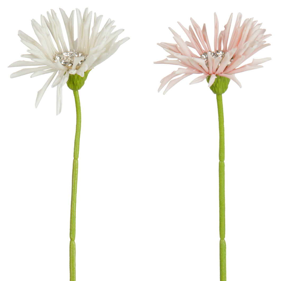 GERBERA+STRASS CREME/ROSE ASS2