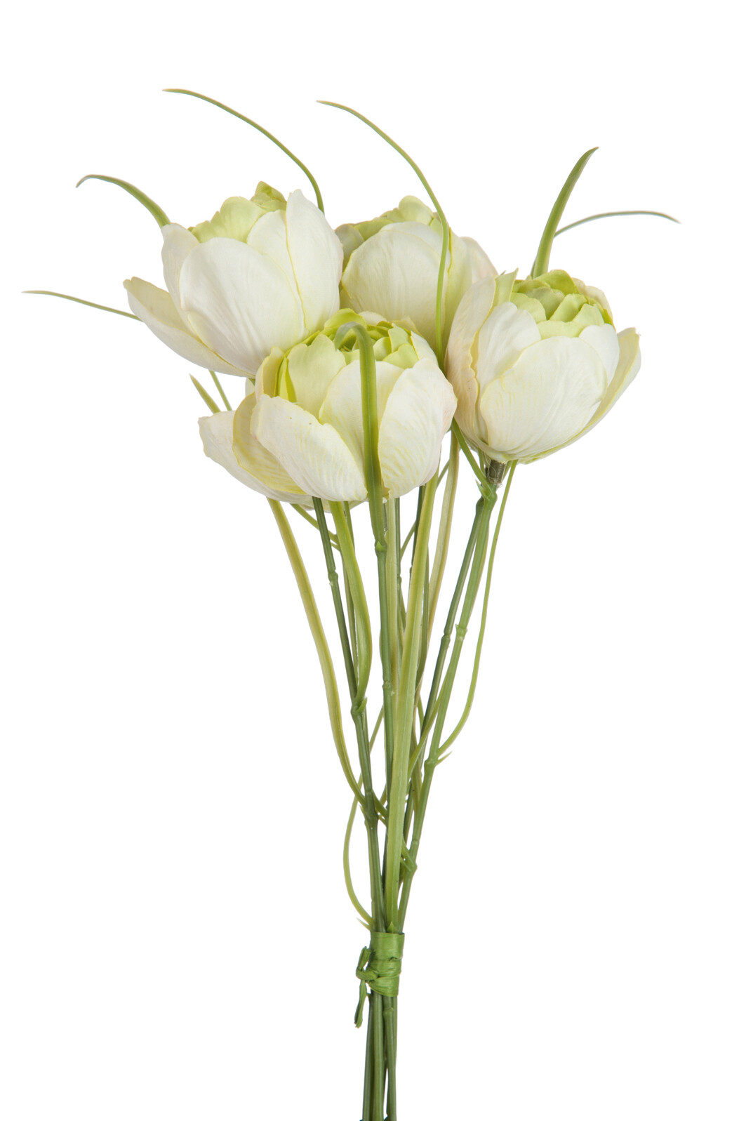 BOUQUET TULIPES 7P VERT CLAIR