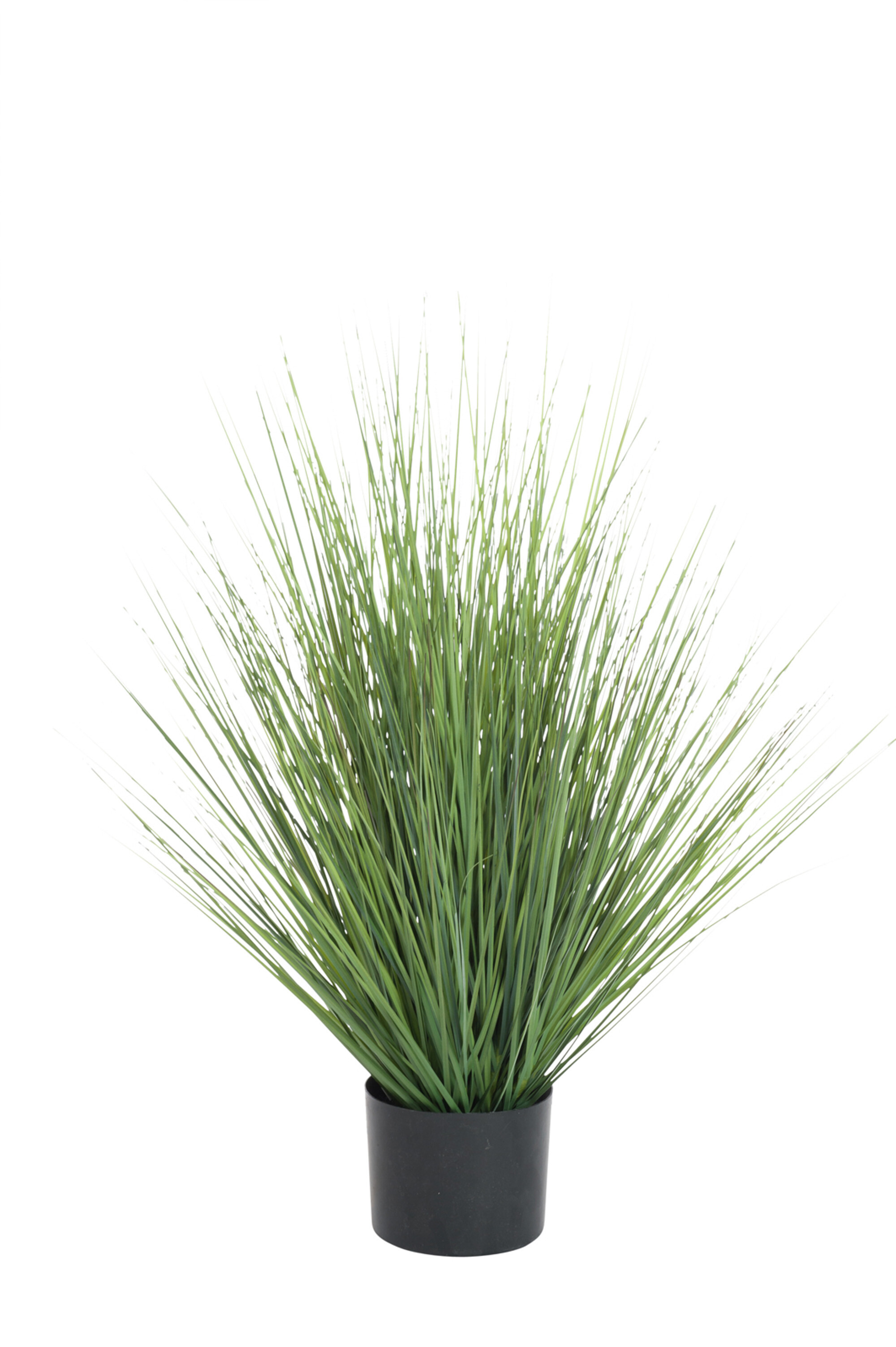 HERBES EN POT PLASTIQUE VERT M