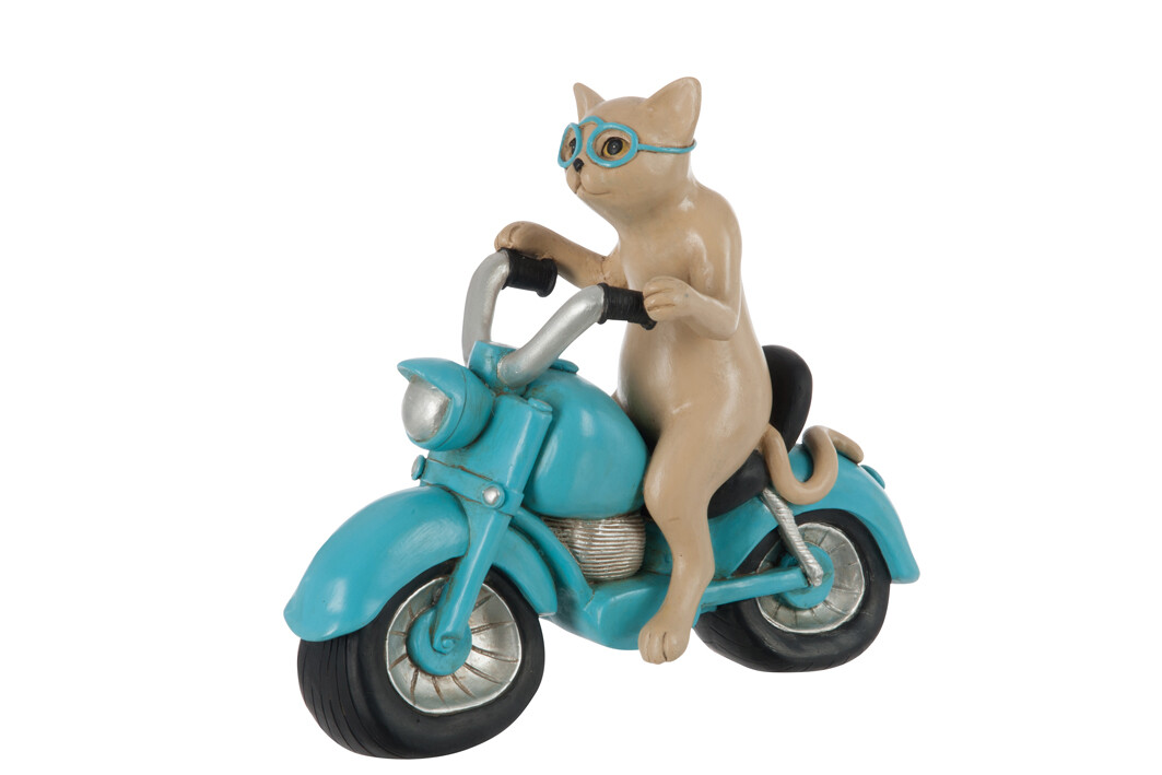 CHAT MOTO POLY BLEU