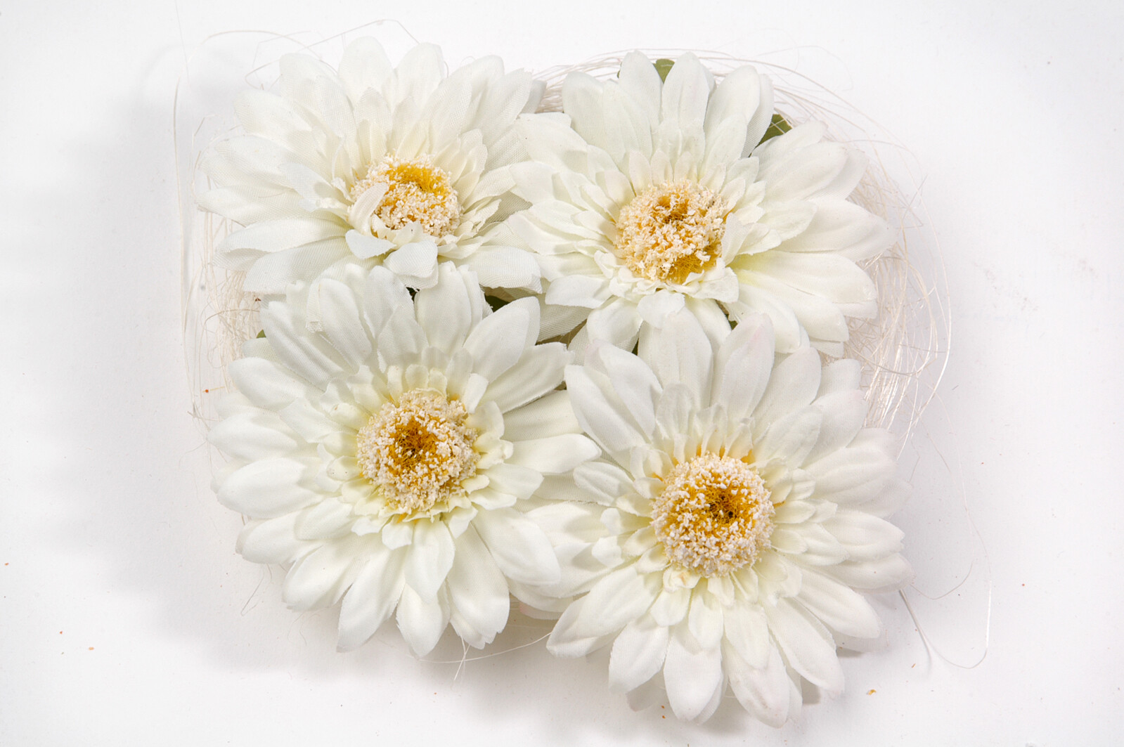 SACHET 4 GERBERAS FLOTTANTS CREME