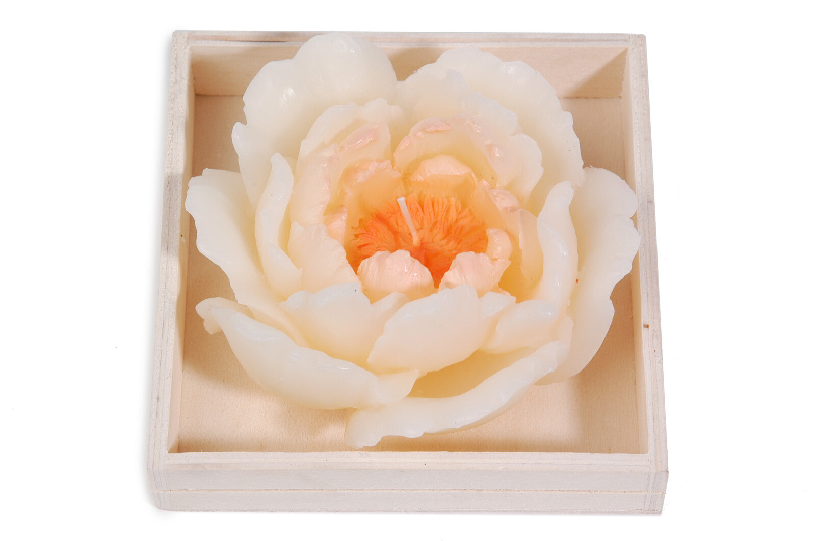 BOUGIE PIVOINE L CREME