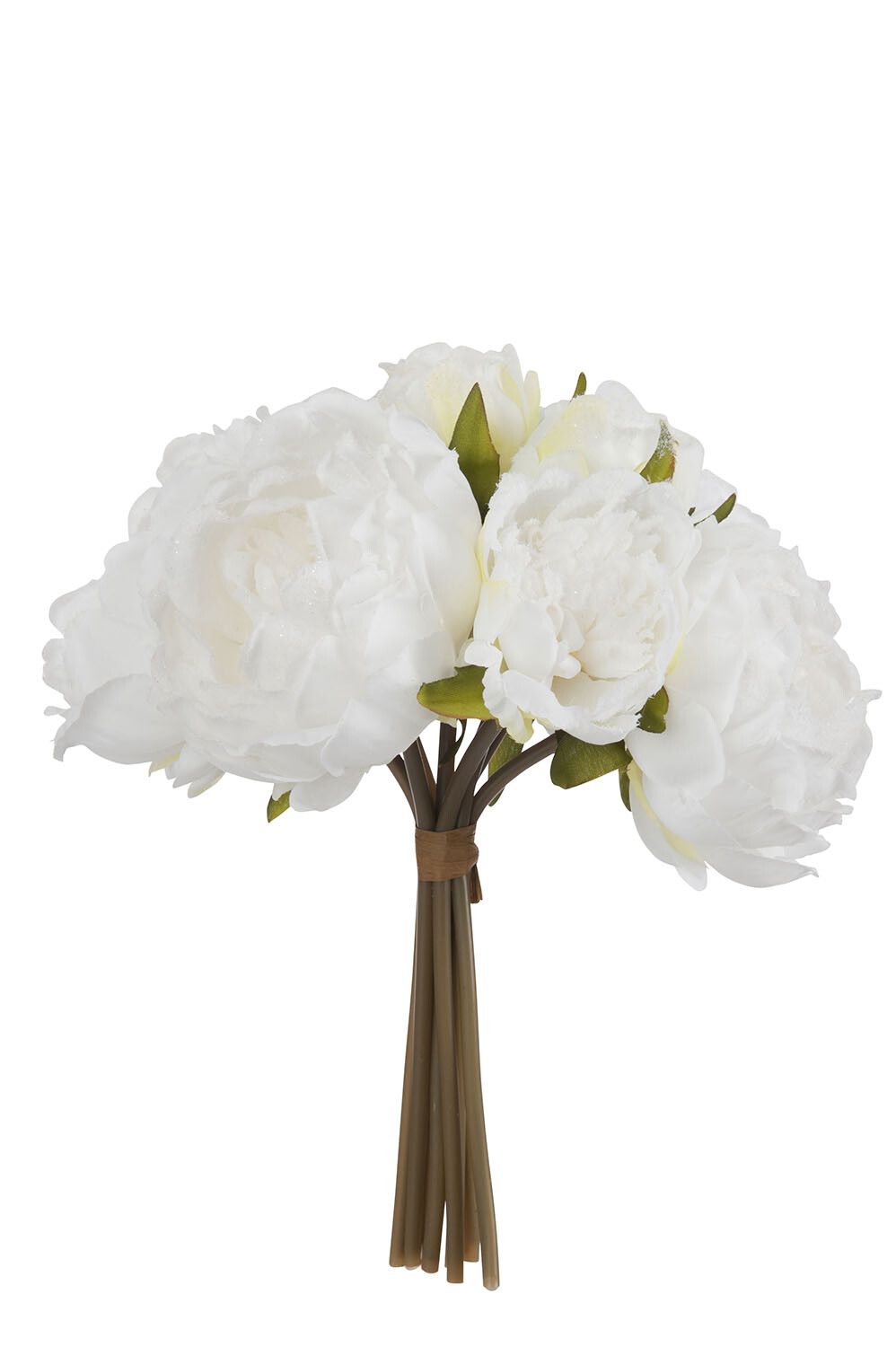 BOUQUET PIVOINES 8P CREME L