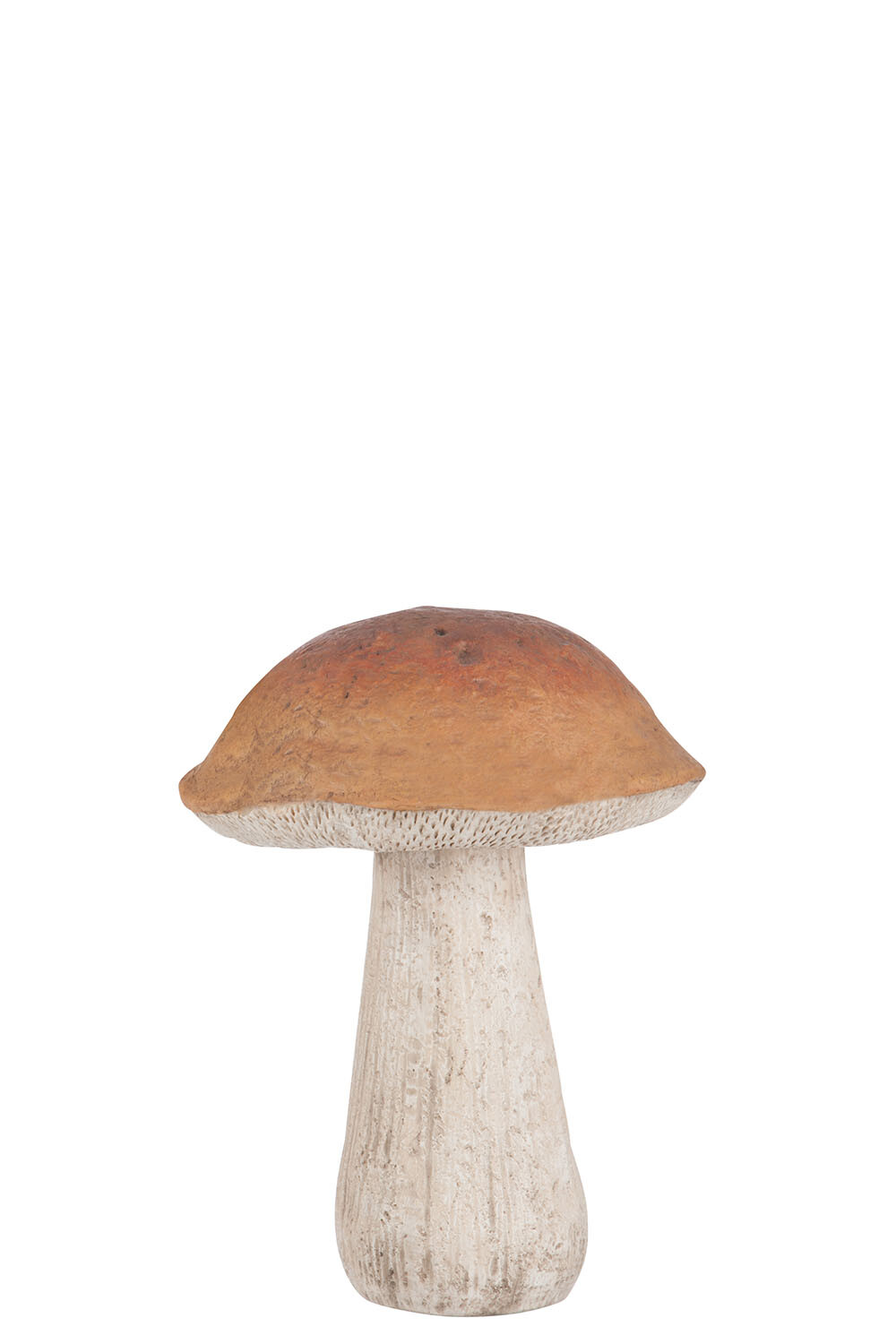 CHAMPIGNON LARGE RES MARRON