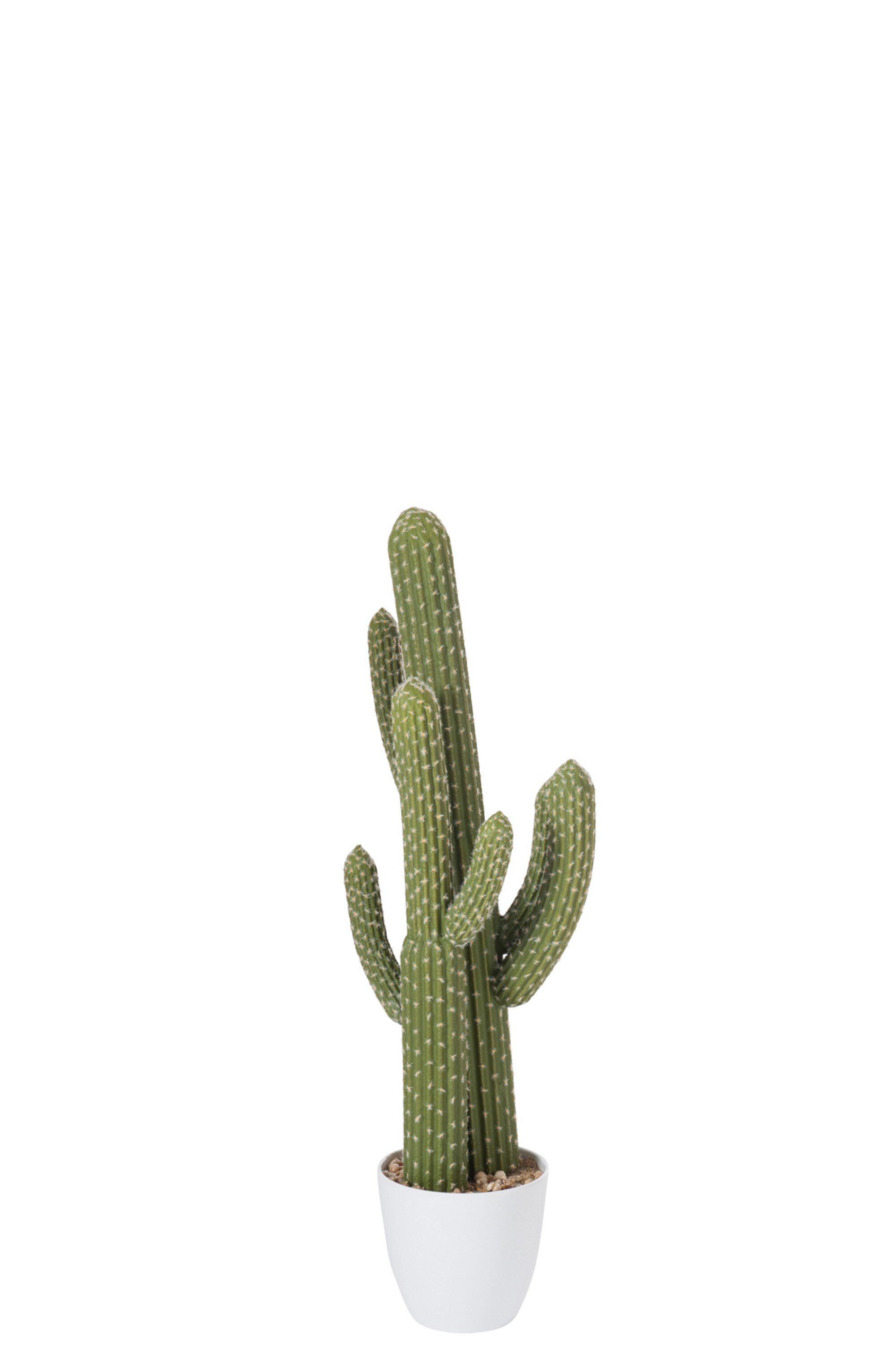 CACTUS+POT PLA VER/MEL BLA S