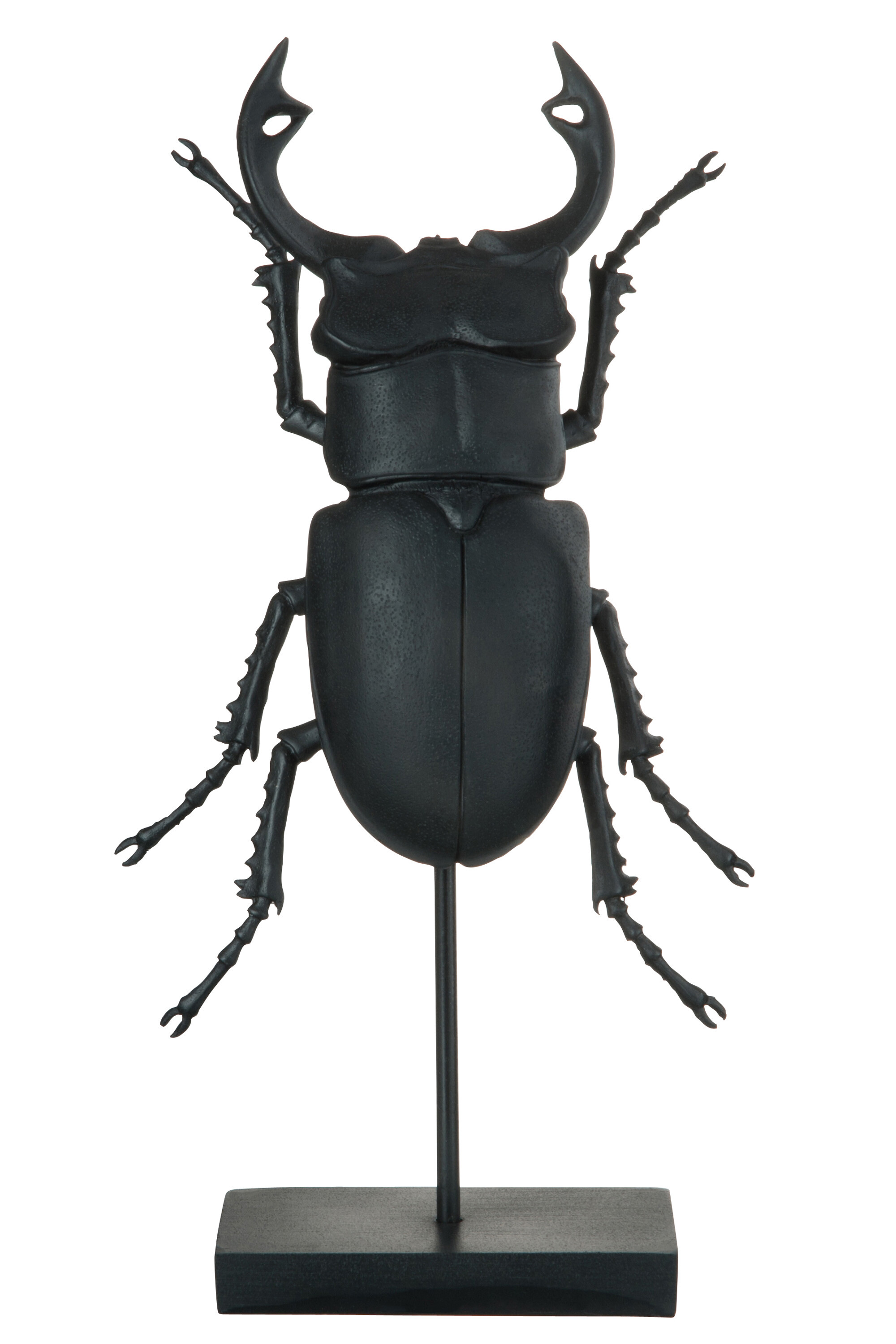 INSECTE S/PIED RESINE NOIRE