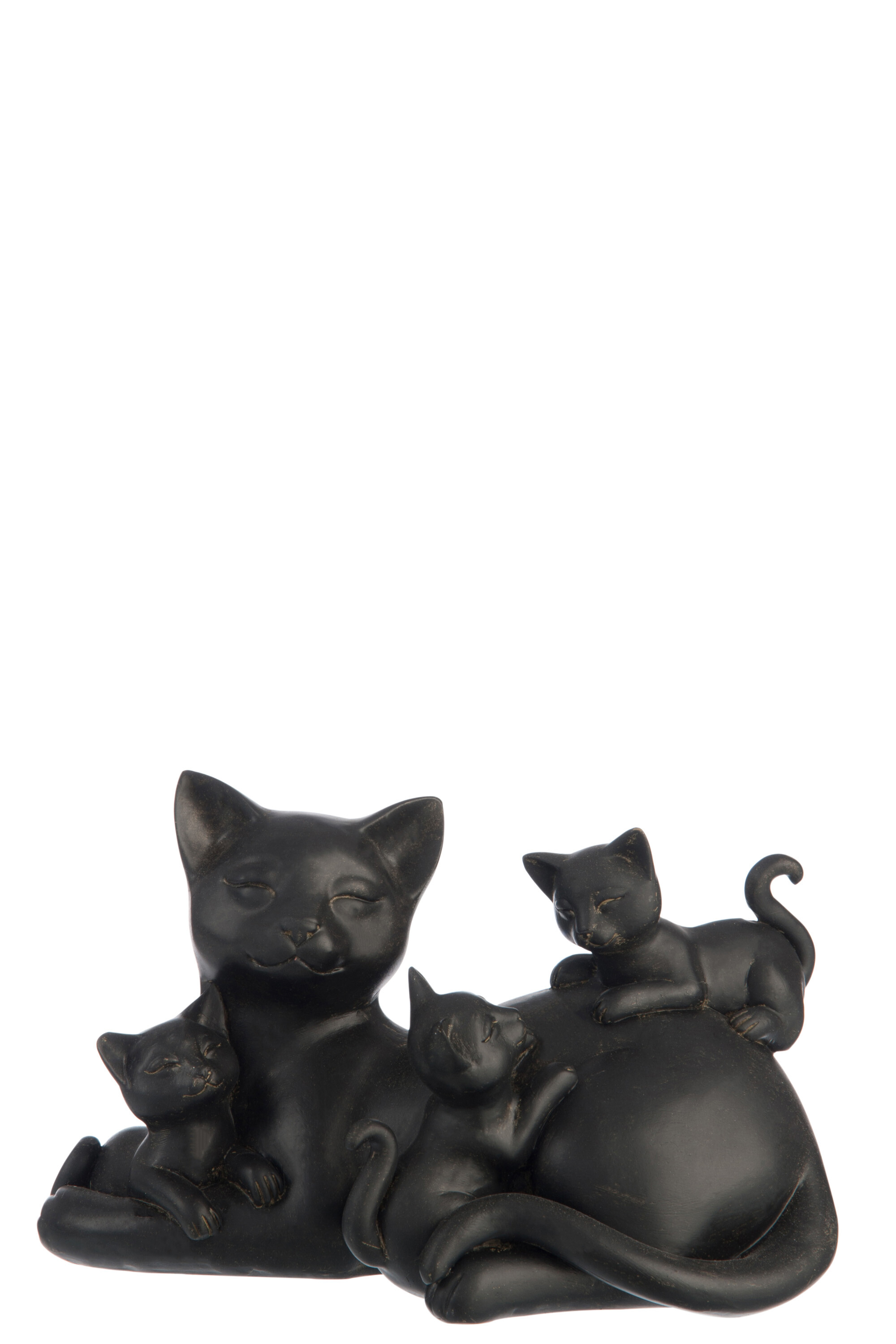 CHAT+3 CHATONS POLY BRUN FON