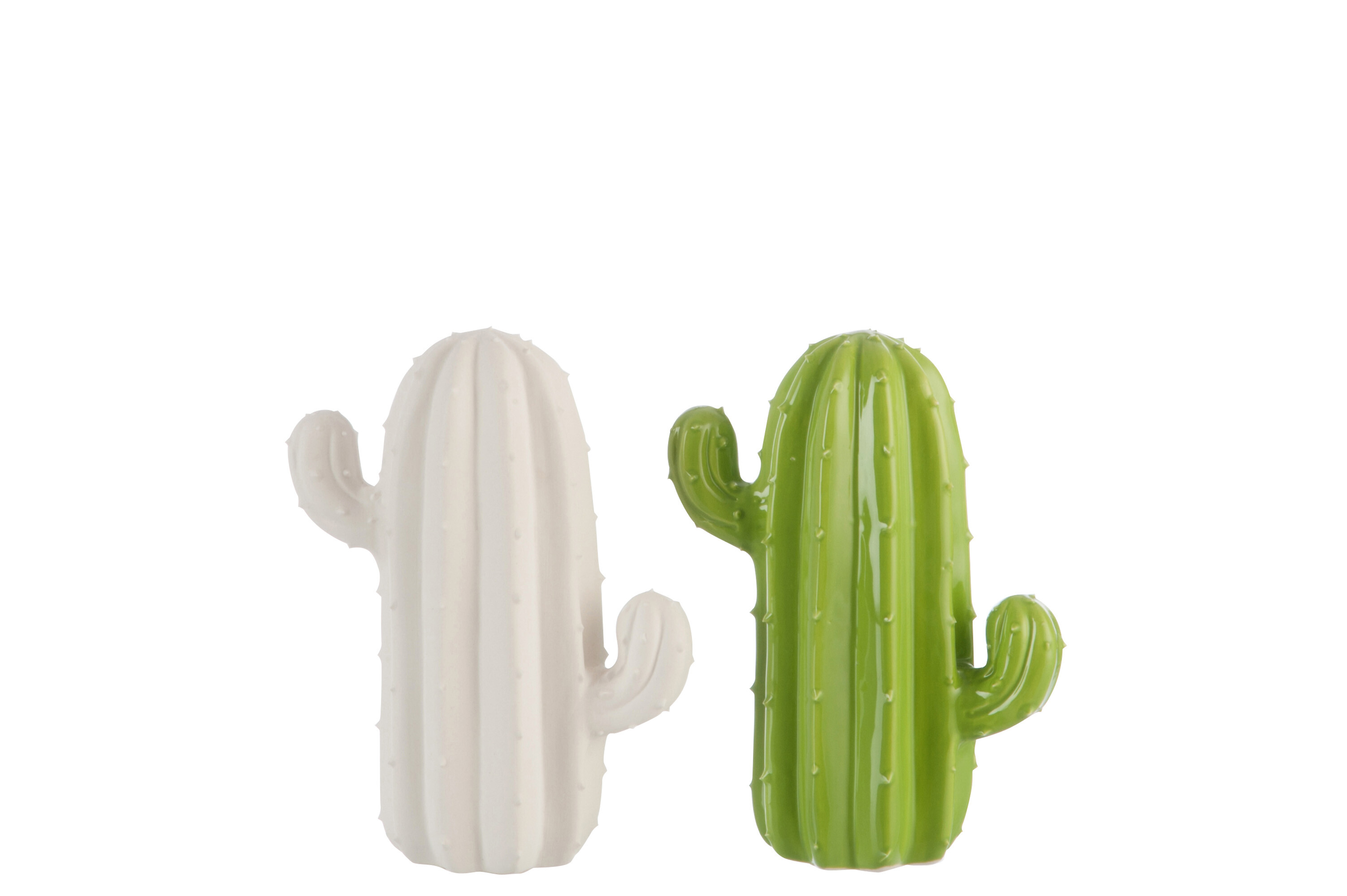 CACTUS PORCEL VER/BLA S ASS2