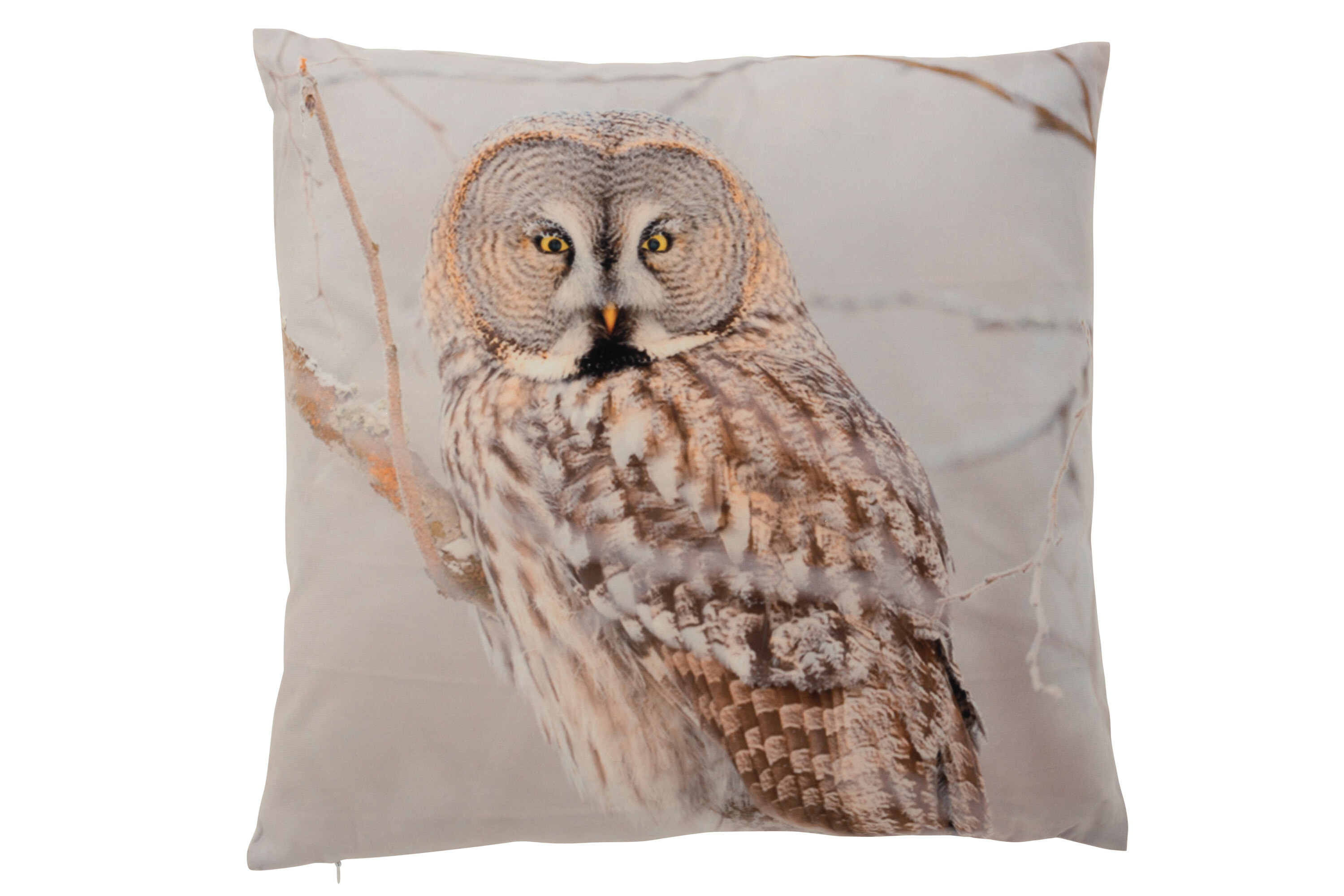 COUSSIN HIBOU BRA POL MAR/BLA