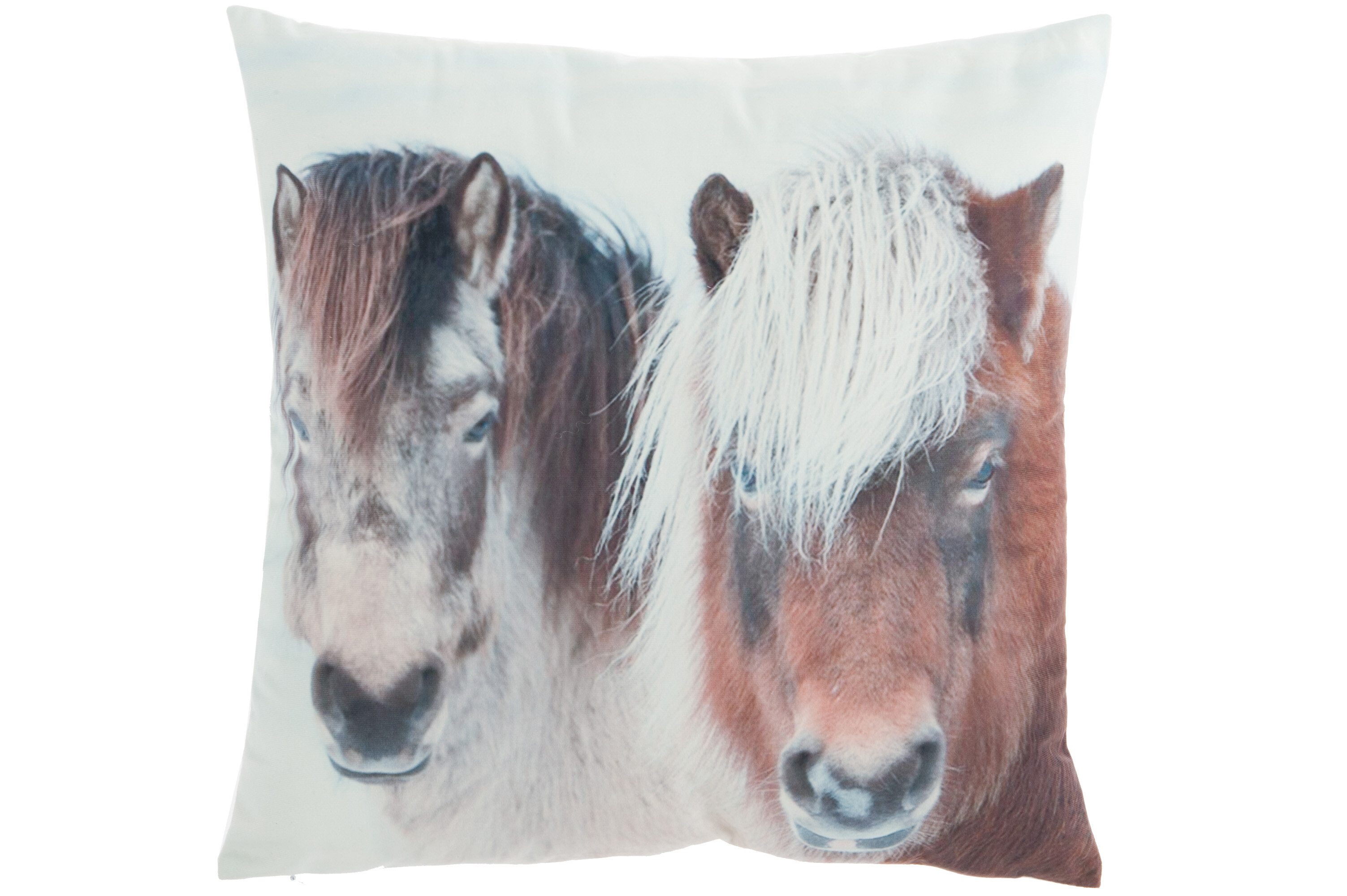 COUSSIN CAR CHEVAL VEL BL/MAR