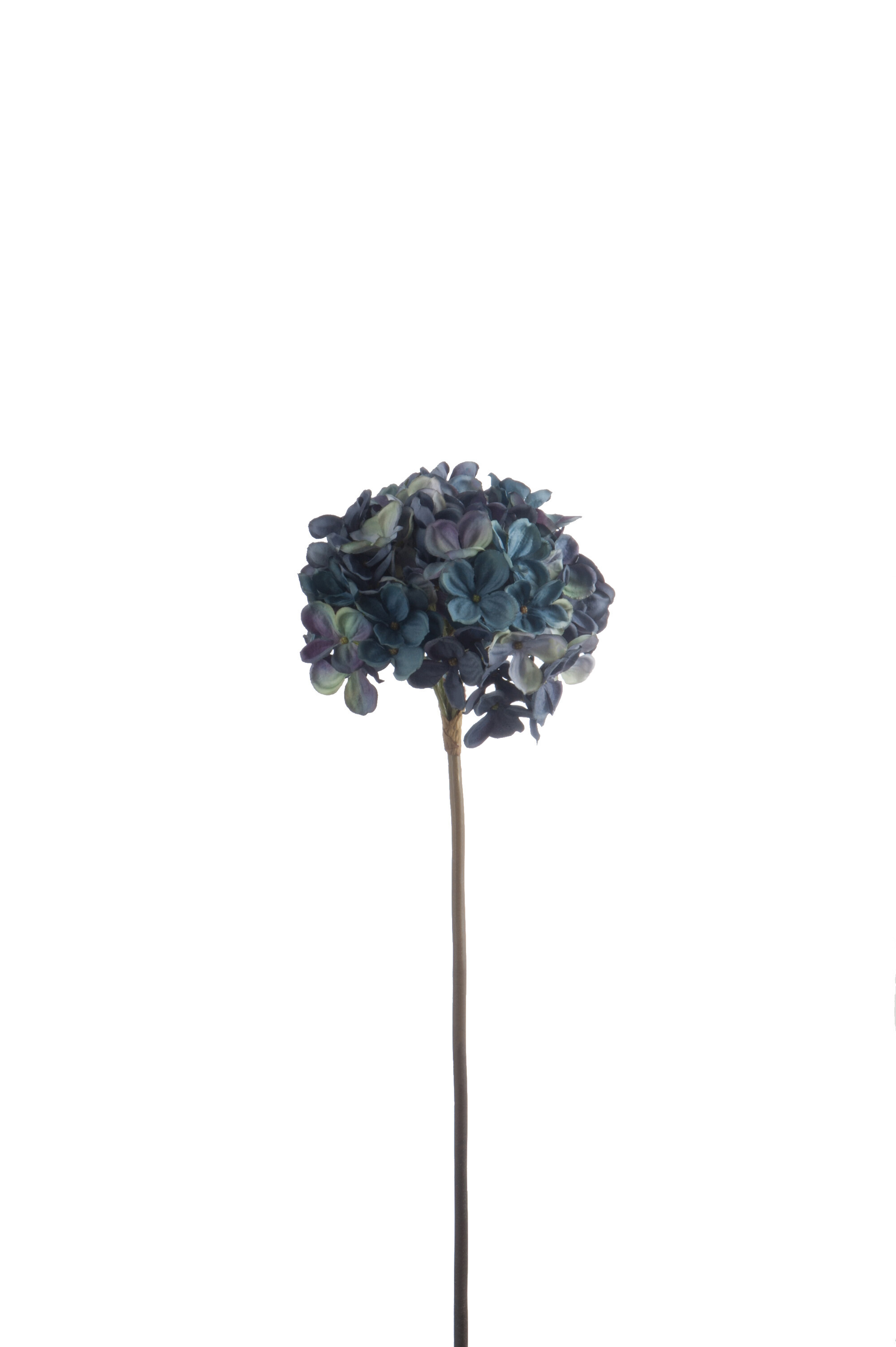 HYDRANGEA SIMPLE PLAST BLEU