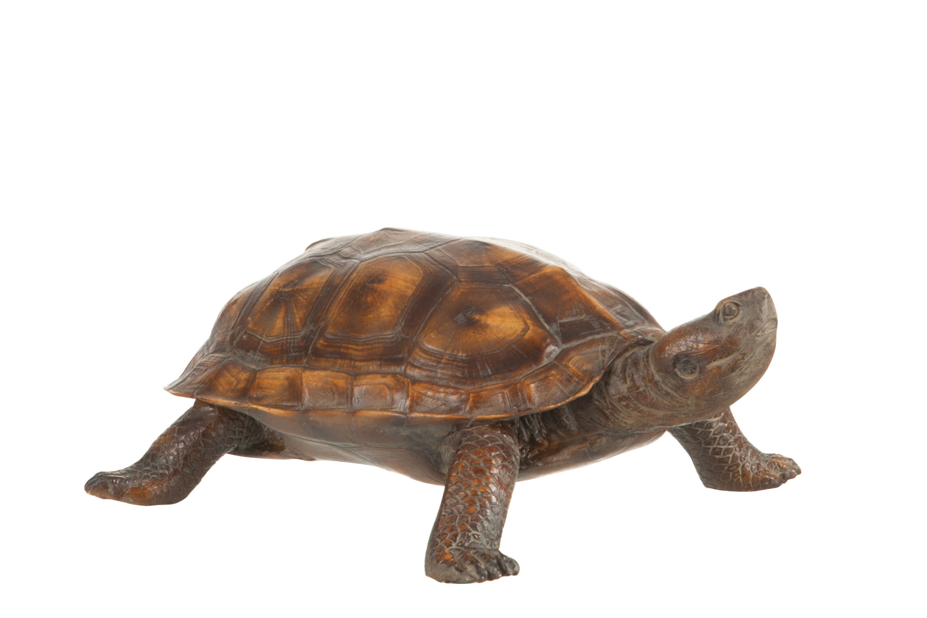 TORTUE RESINE MARRON LARGE