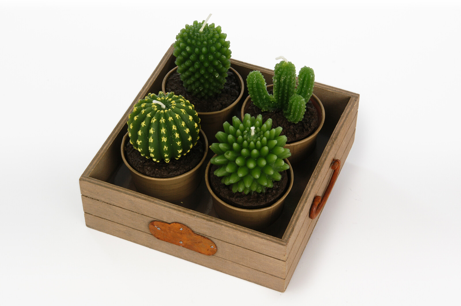 BOITE 4 BOUGIES CACTUS+SEAU