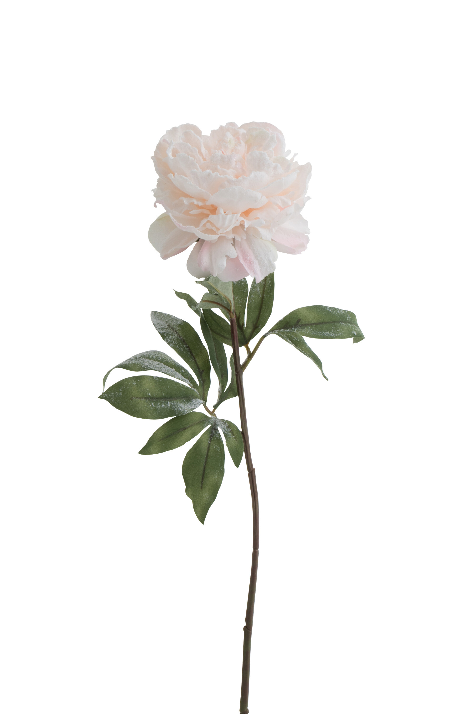 PIVOINE SEULE PLASTIQUE SAUMON