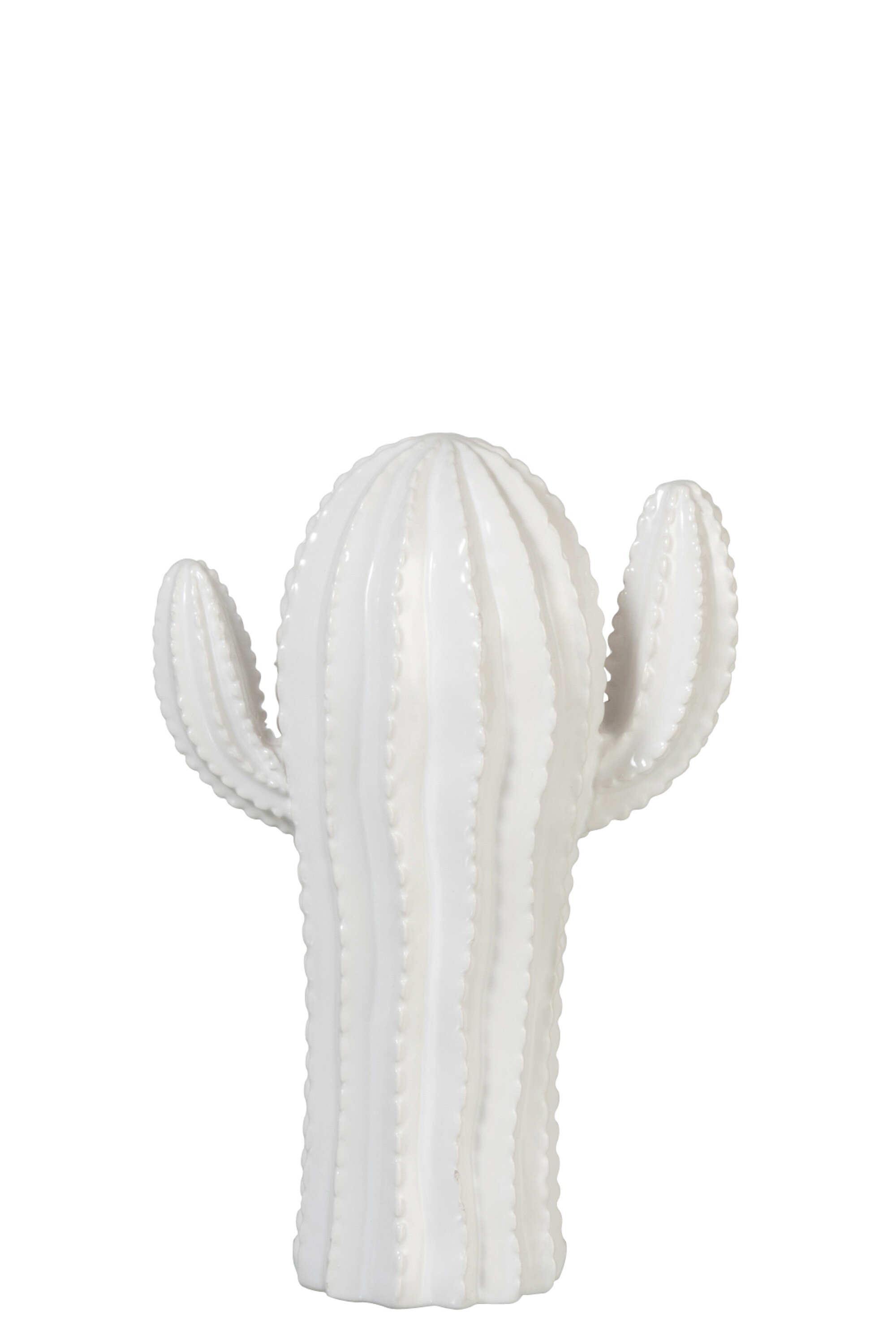 CACTUS DOLOMITE BLANC M