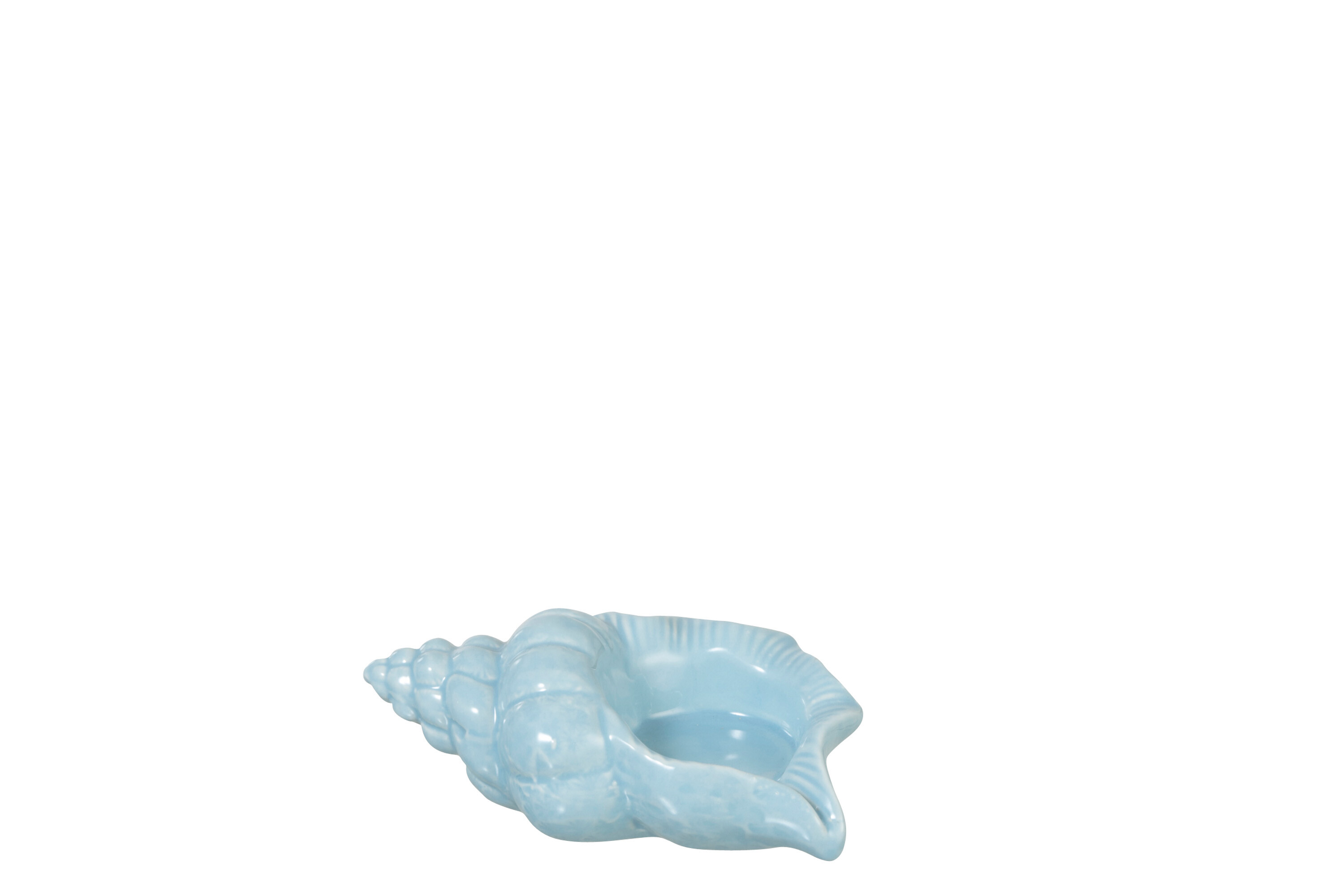 COQUILLAGE DECO PORC BLEU S