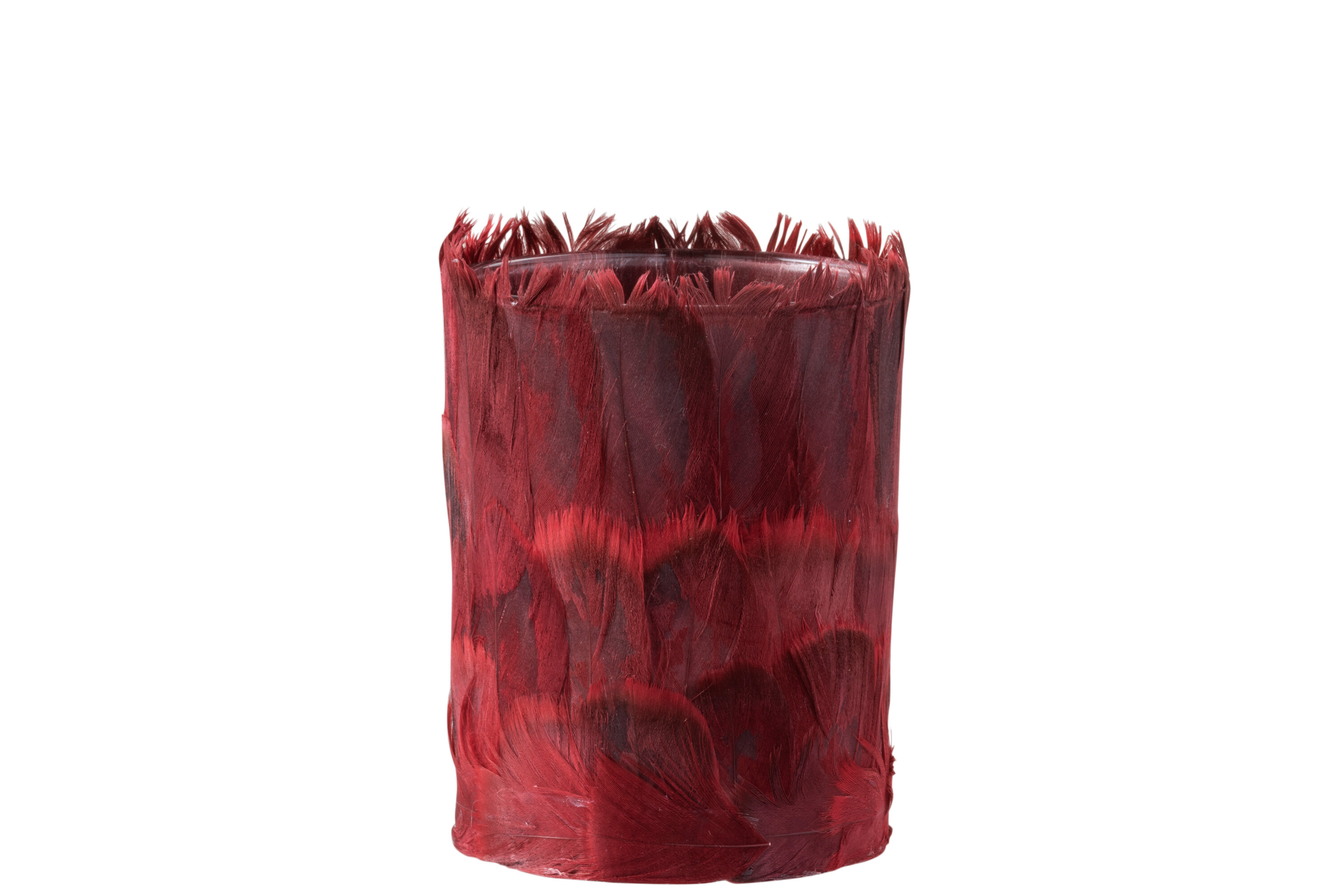 PHPH PLUMES VERRE BORDEAUX L