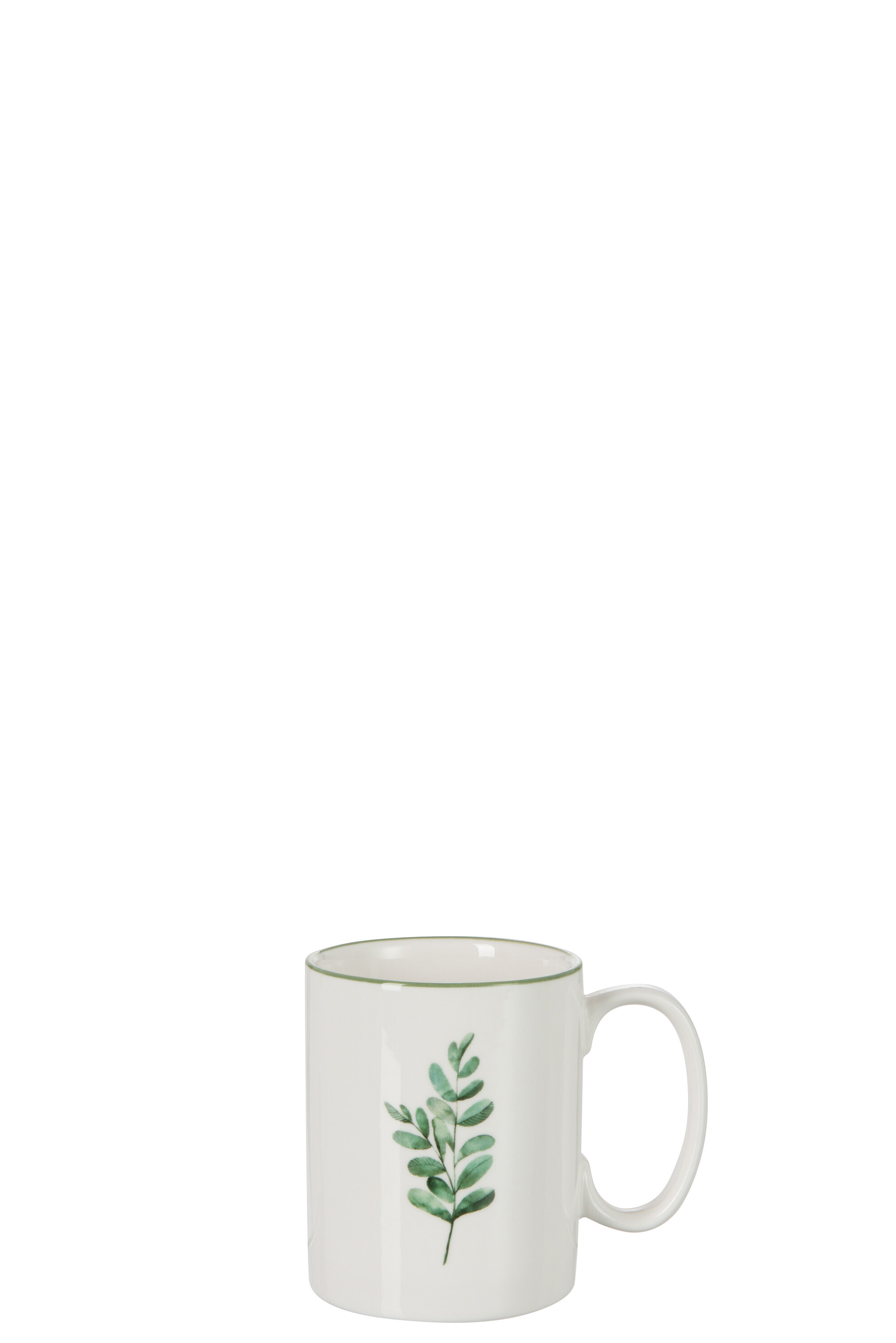 TASSE EUCALYPTIS PORC BLA/VERT